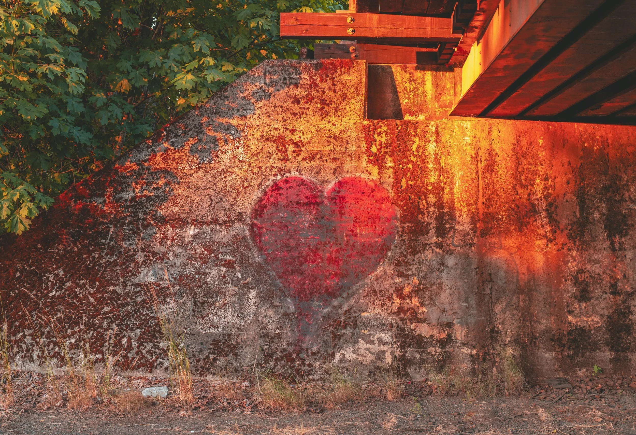A concrete wall with red graffiti of a heart, surrounded by green foliage, with a rusty fence on top, and a patch of dry grass and dirt in the foreground.