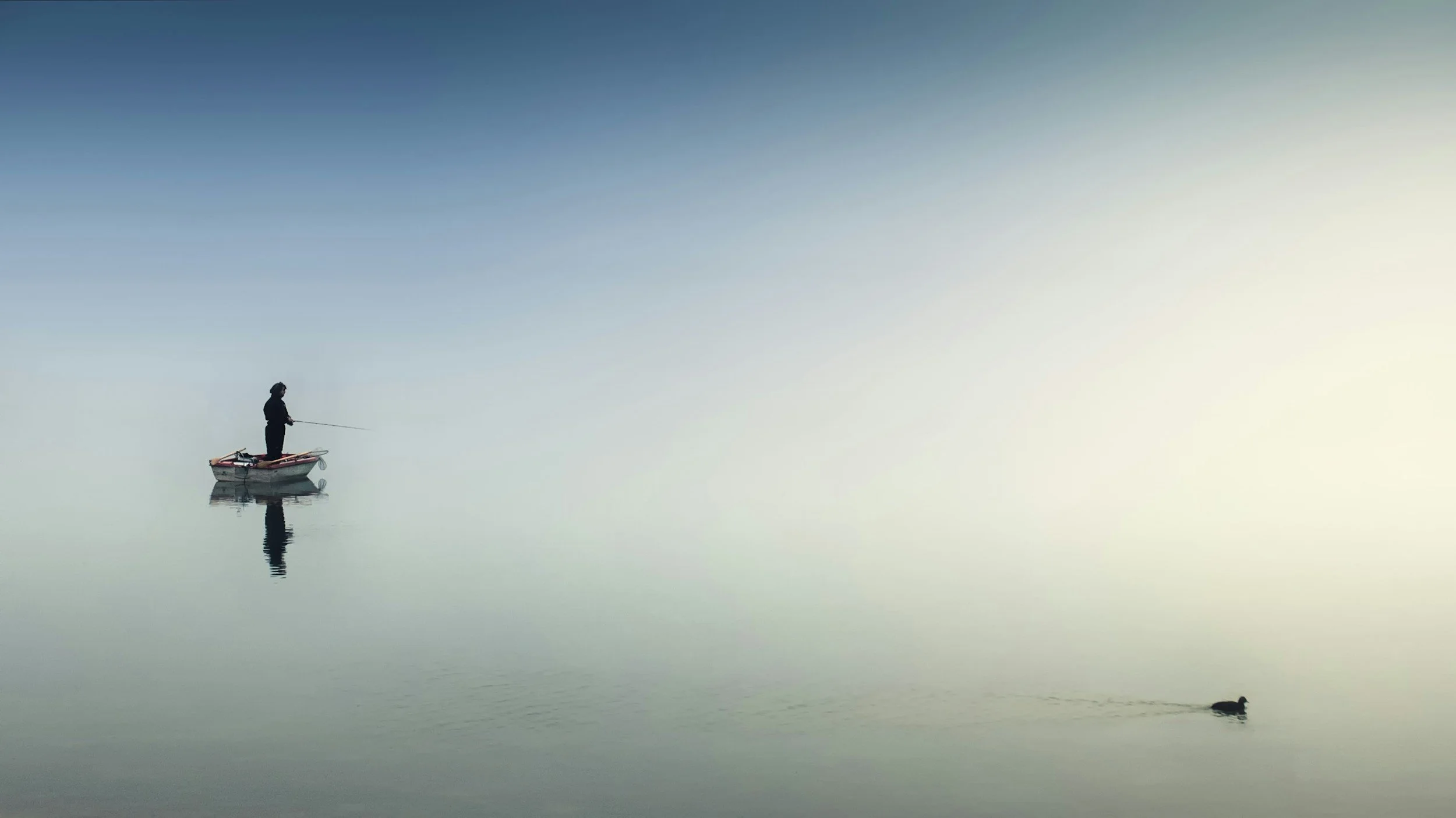 A person fishing from a small boat on calm water with a duck swimming nearby, under a clear sky.