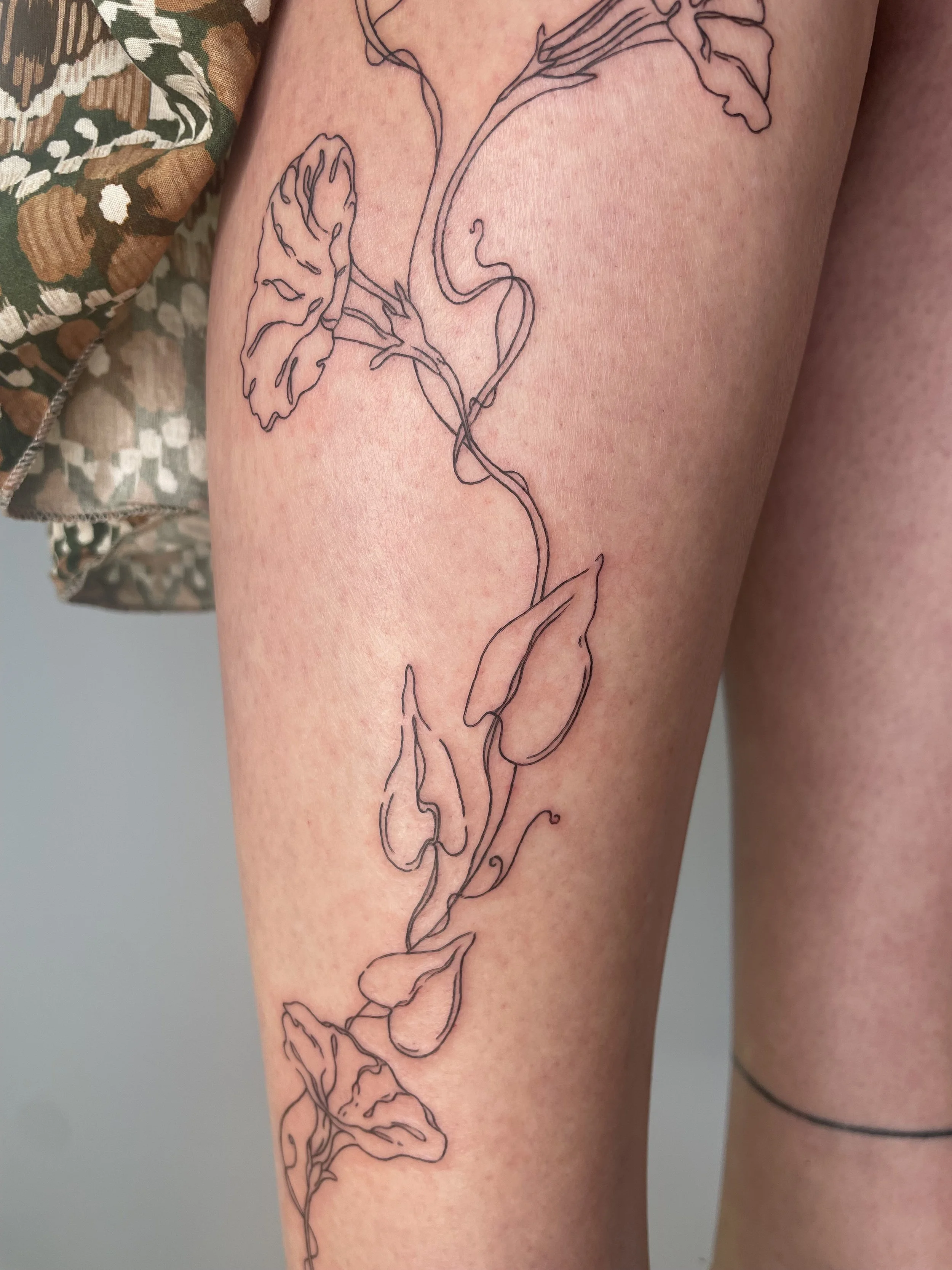 Tatouage de lignes d'une plante grimpante avec des feuilles sur la jambe