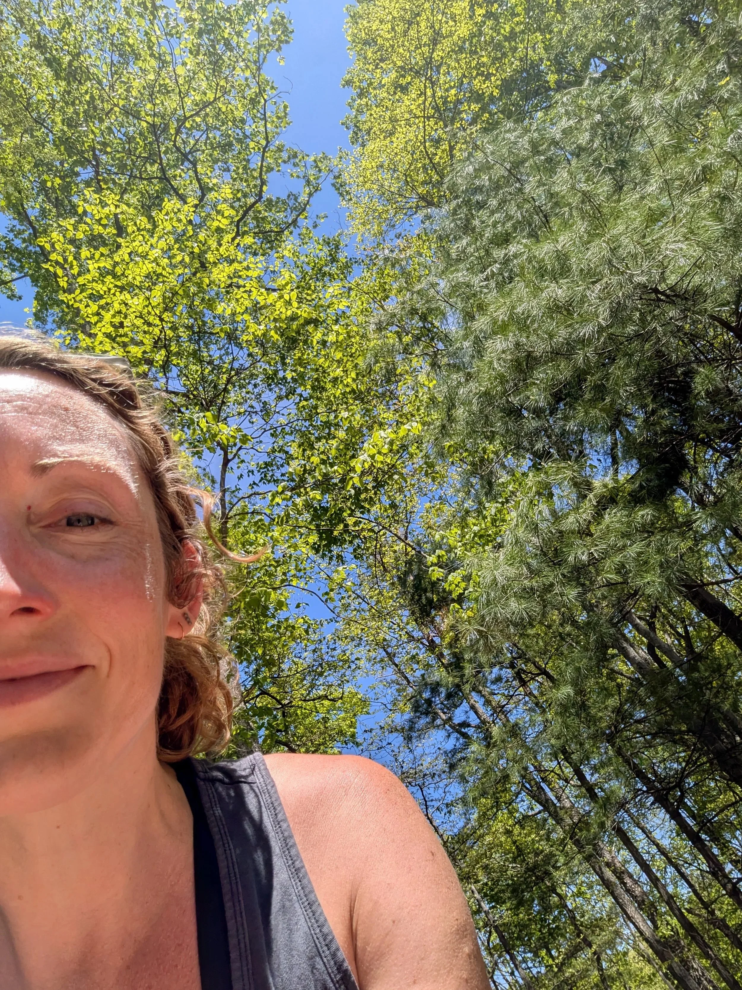 Partial selfie of Abby outdoors under tall green trees on a bright sunny day with blue sky above