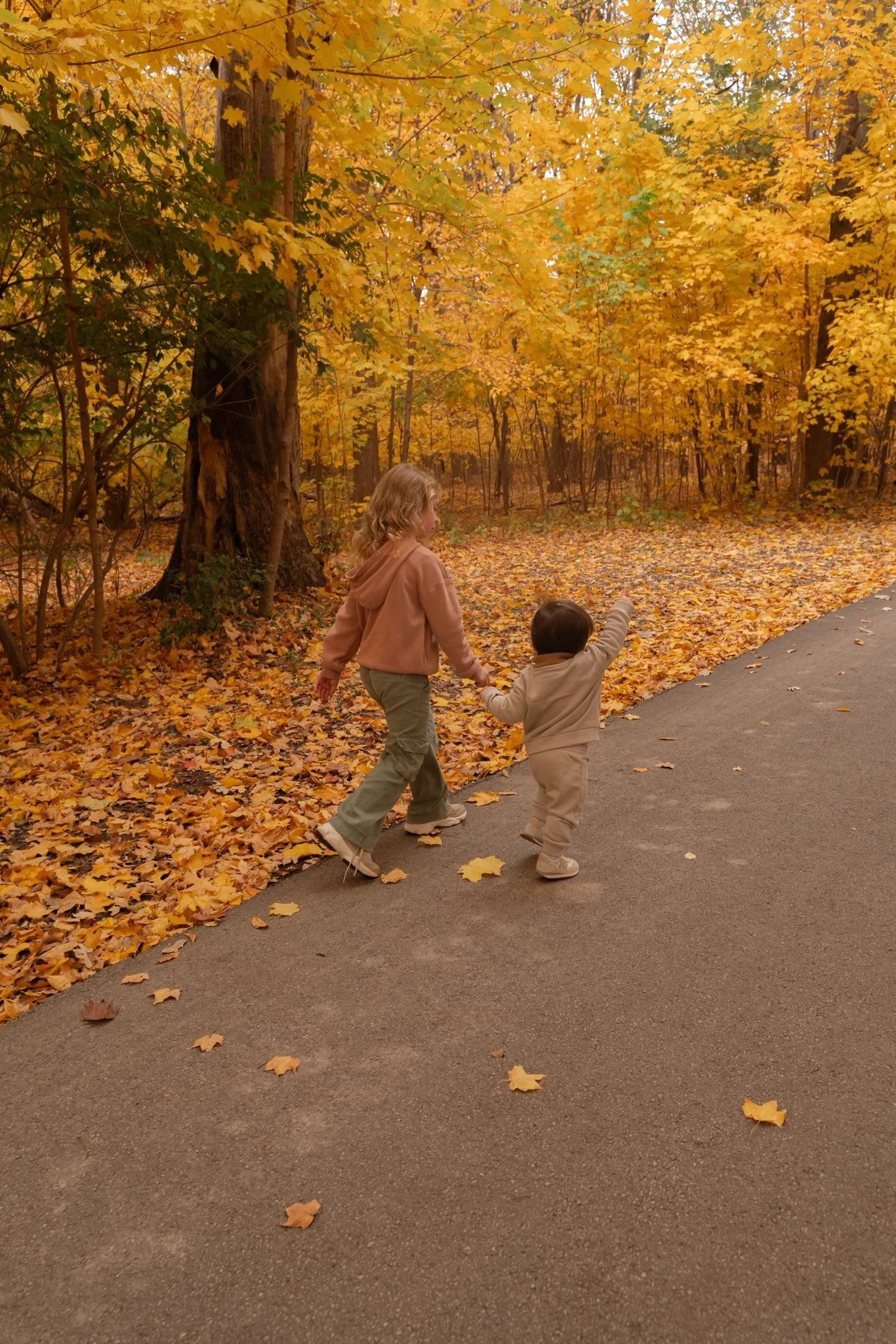 A young girl and a little boy, holding hands, walking along a paved path through a forest with yellow and orange autumn leaves on the ground and trees, on a fall day.