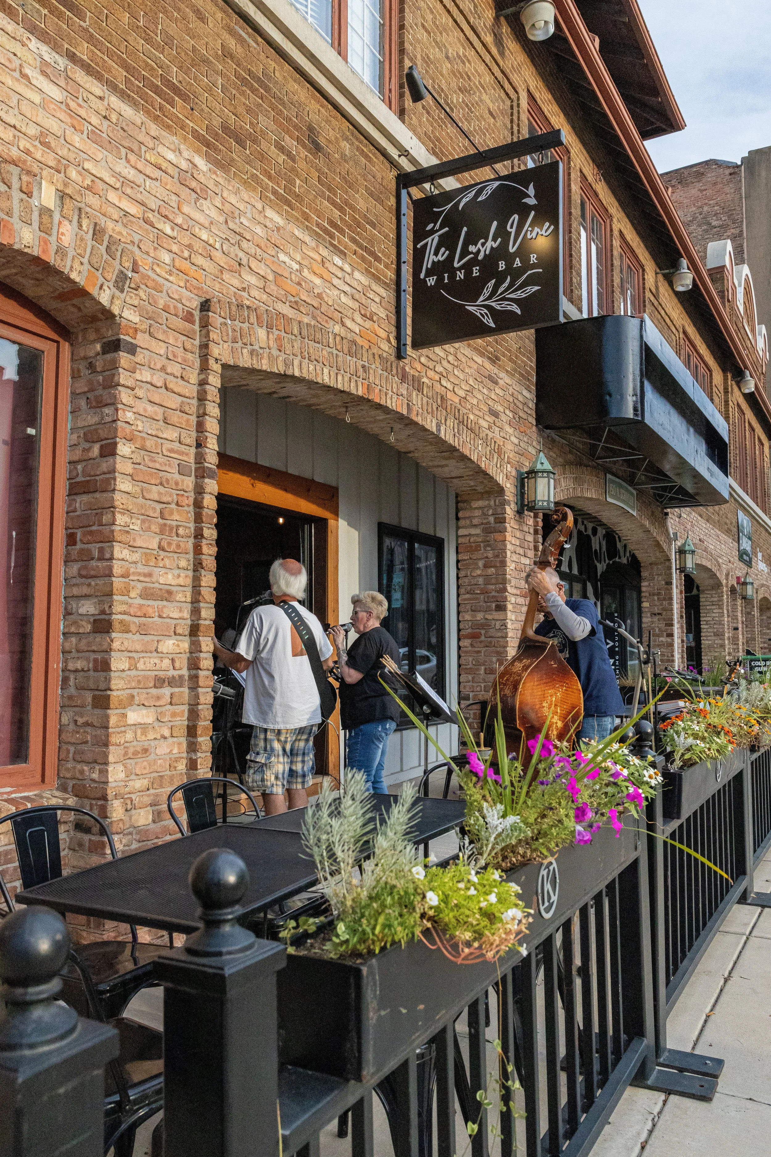 lush vine - cabaret.jpg