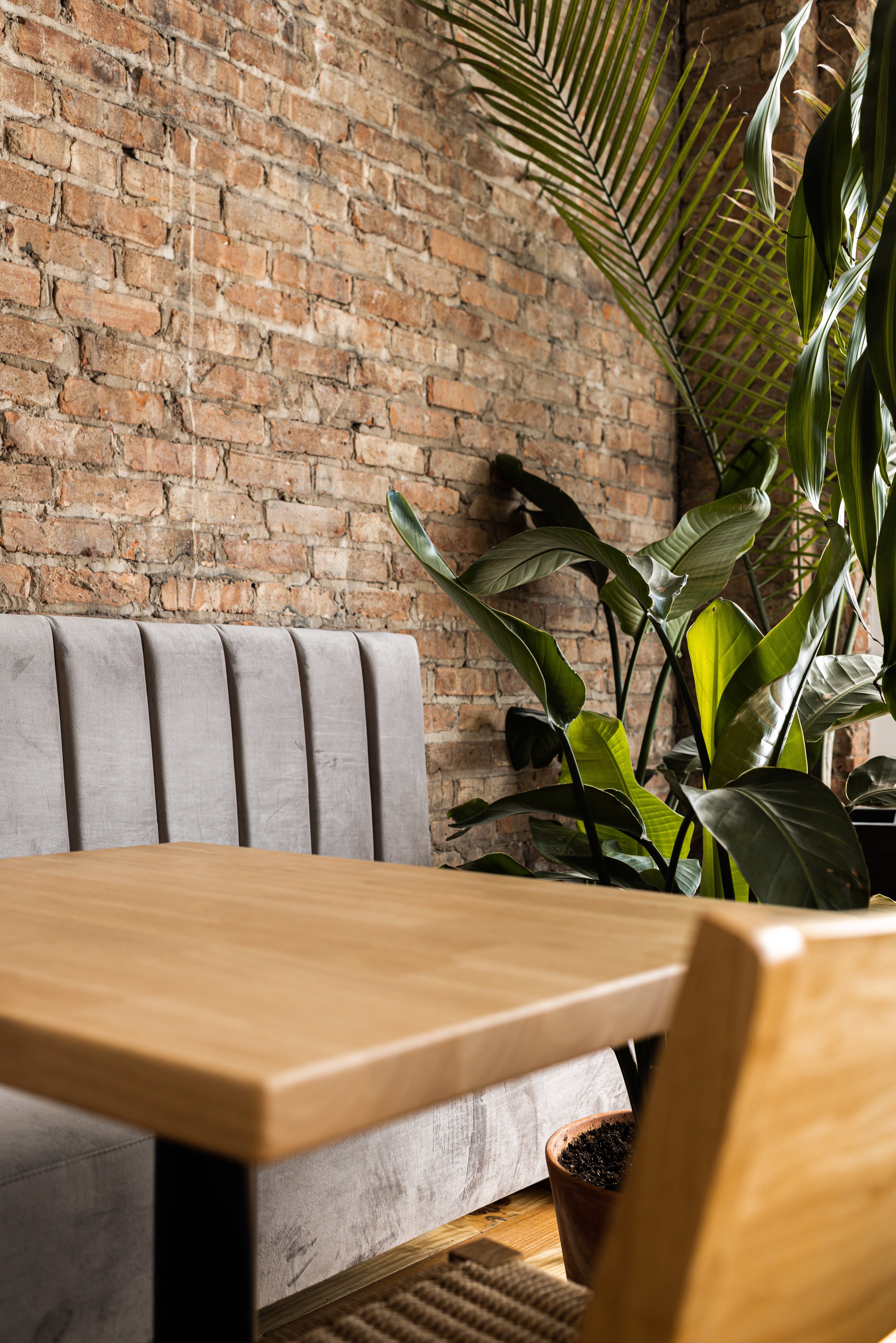 Indoor scene with a wooden table, a gray upholstered bench, a large potted plant with big green leaves, and an exposed brick wall in the background.