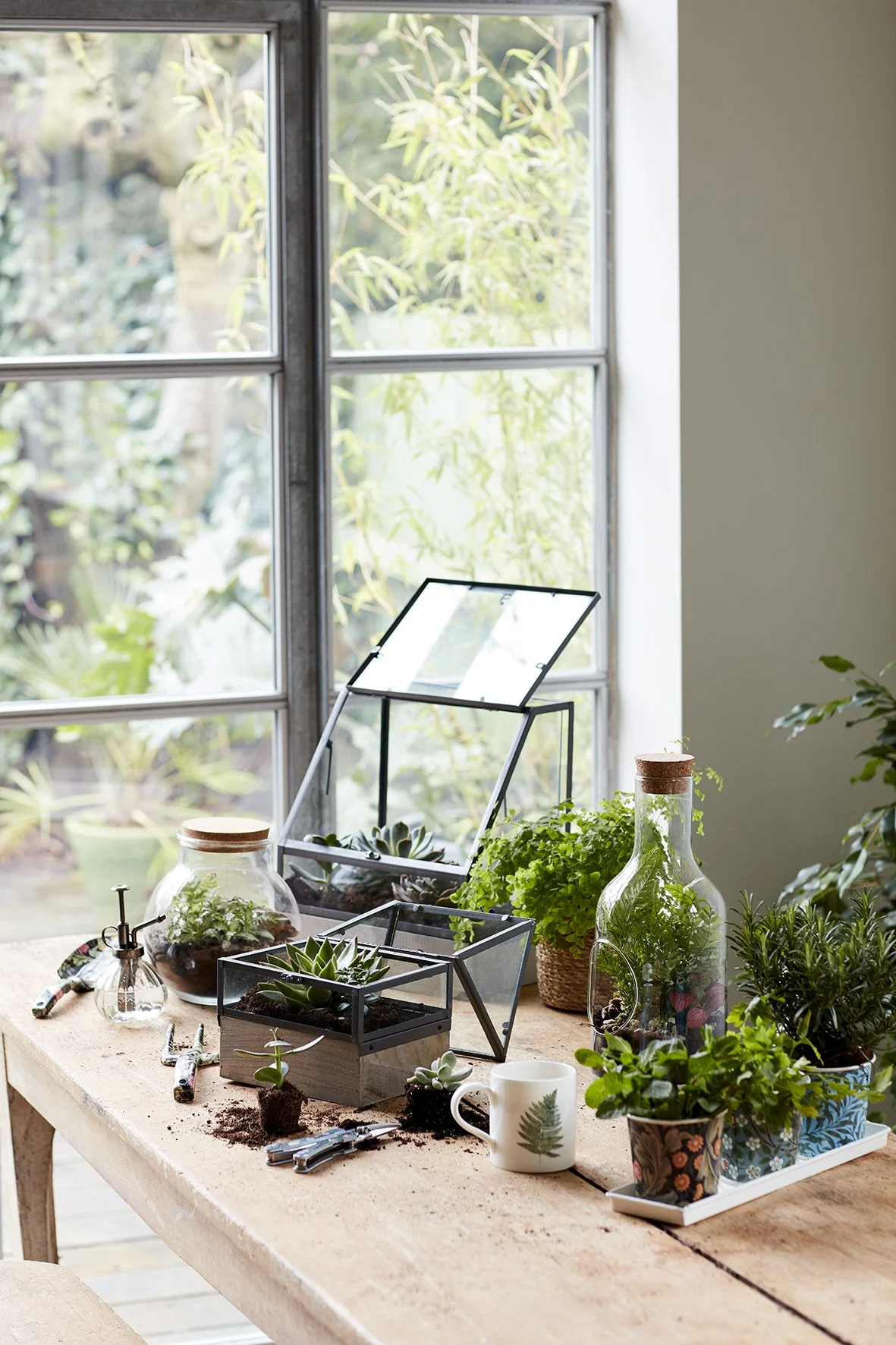 Shot_11_garden_gifting.jpg