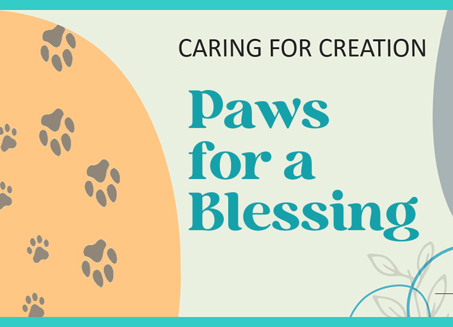 Paws for a Blessing 
