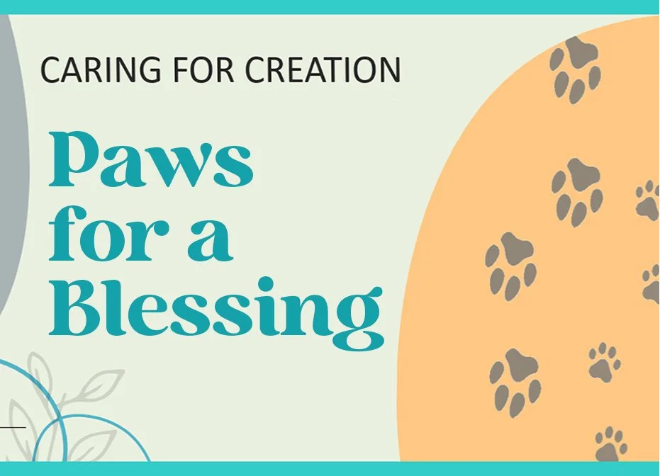 Paws for a Blessing