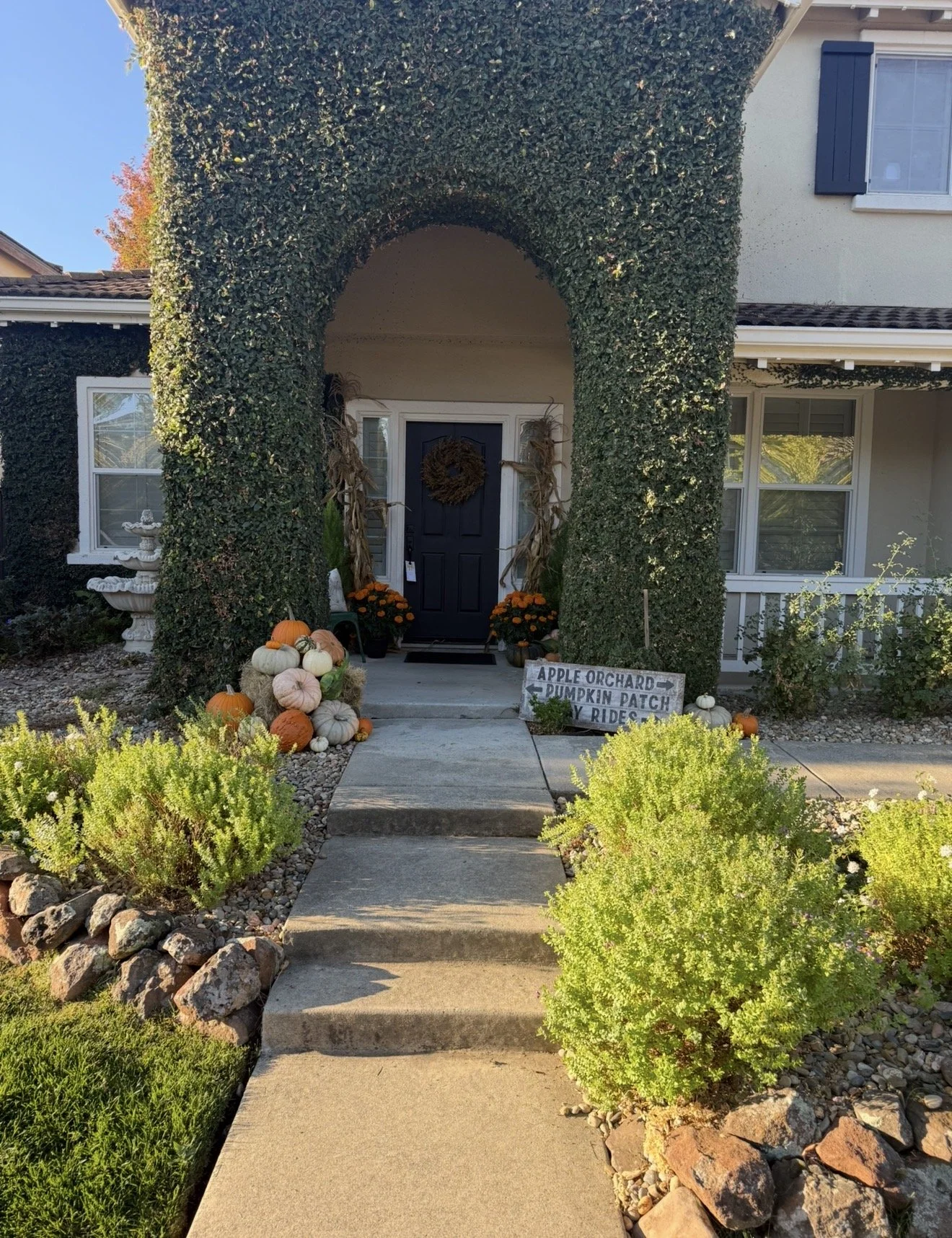 Harvest (Package #1)