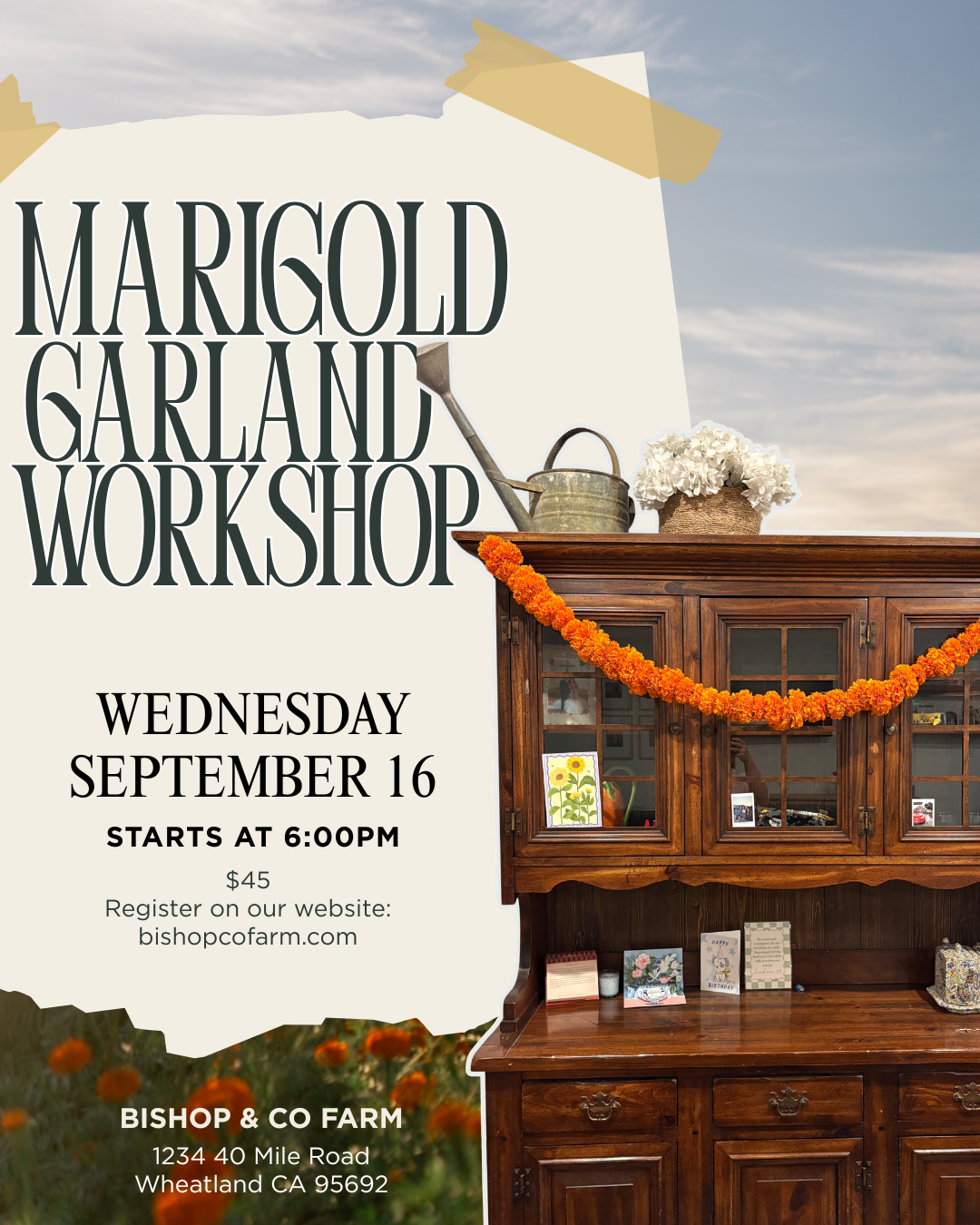 Marigold Workshop (1).png