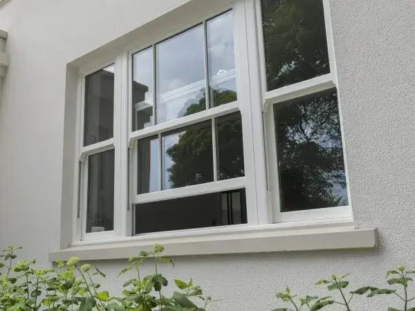 A white-framed window on the exterior of a white building with green plants in front, and trees reflected in the glass.