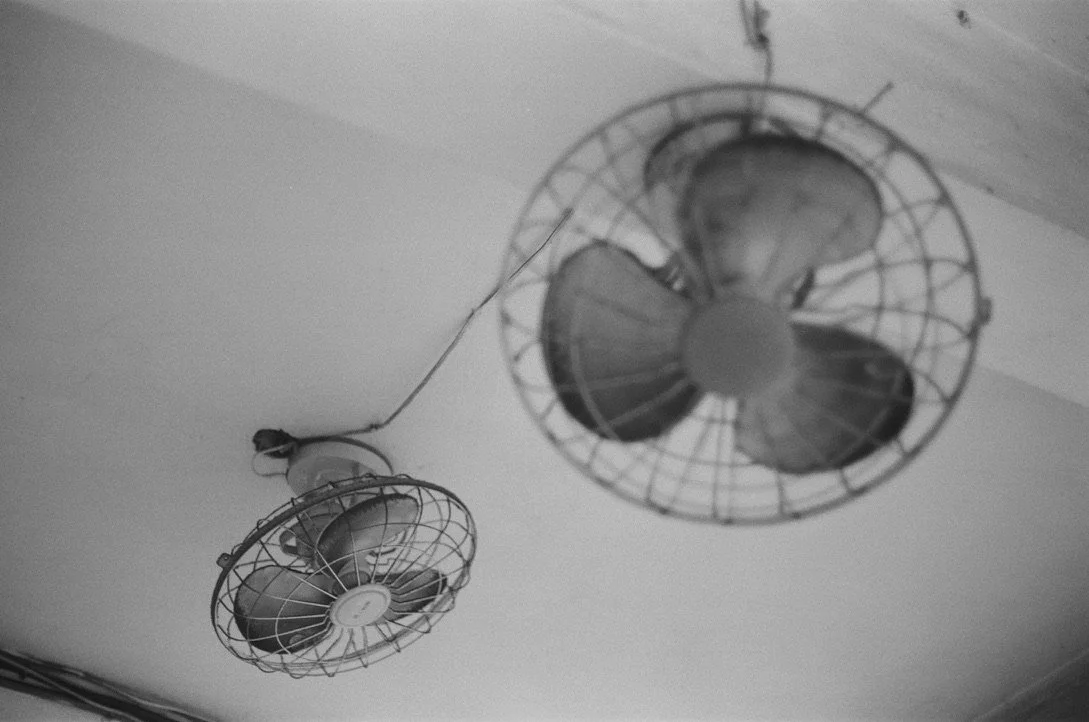 F2E5A579-2E52-47D0-A4F5-0748347D0DC8_1_105_c.jpeg