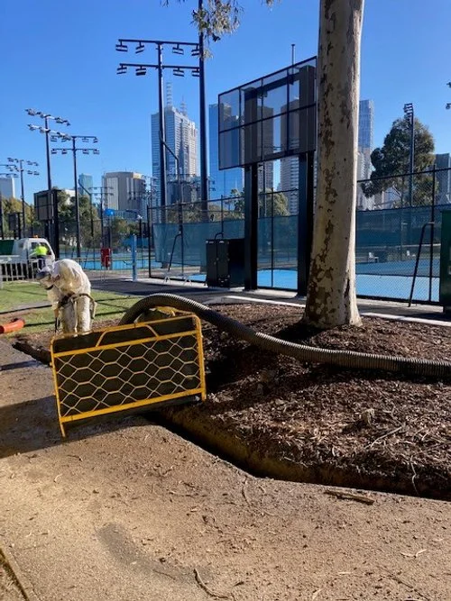 Project Arb Ricky Howell.jpg