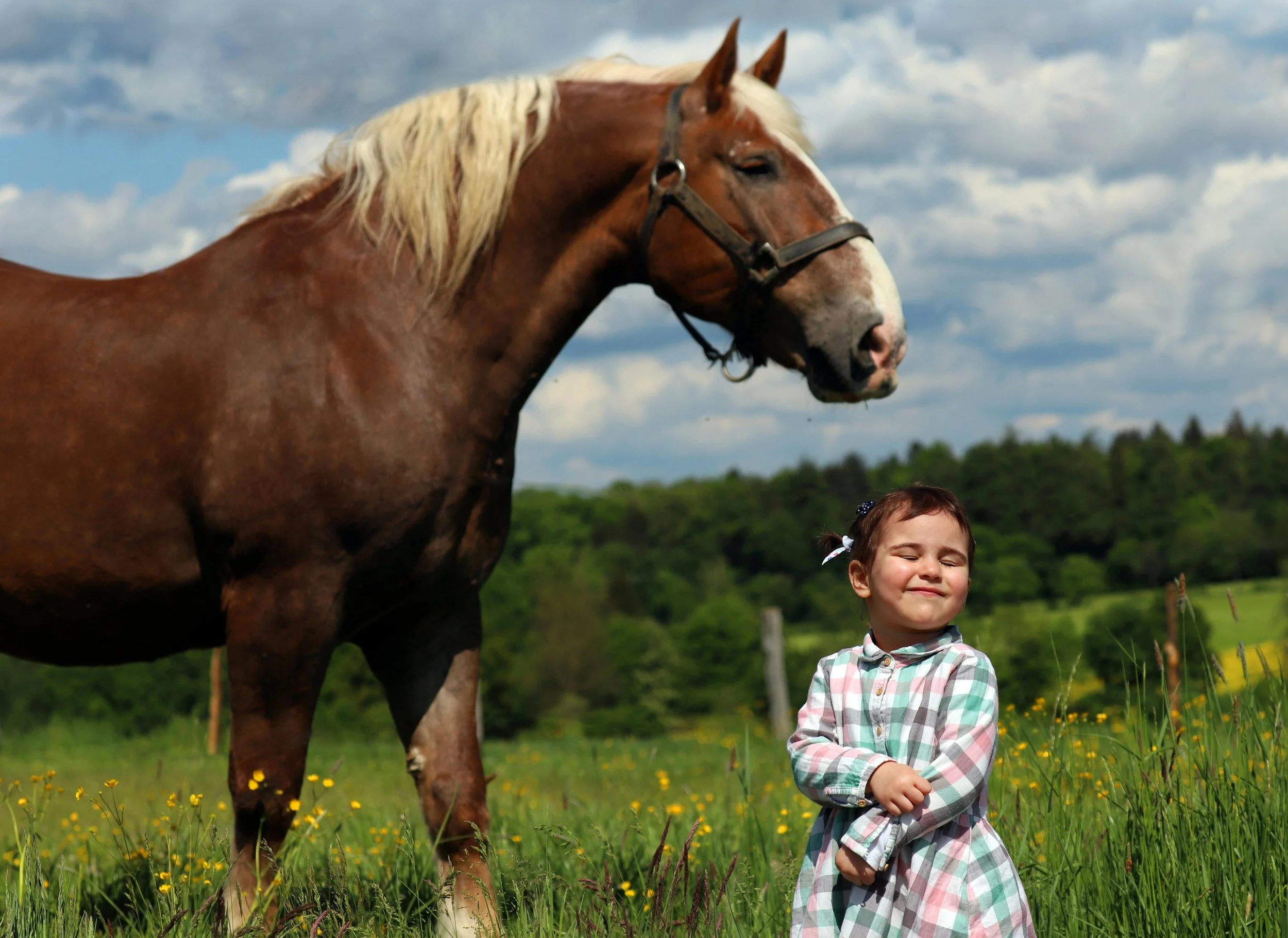 Beyond Words: The Multi Sensory Benefits of Equine Therapy for Children with Autism