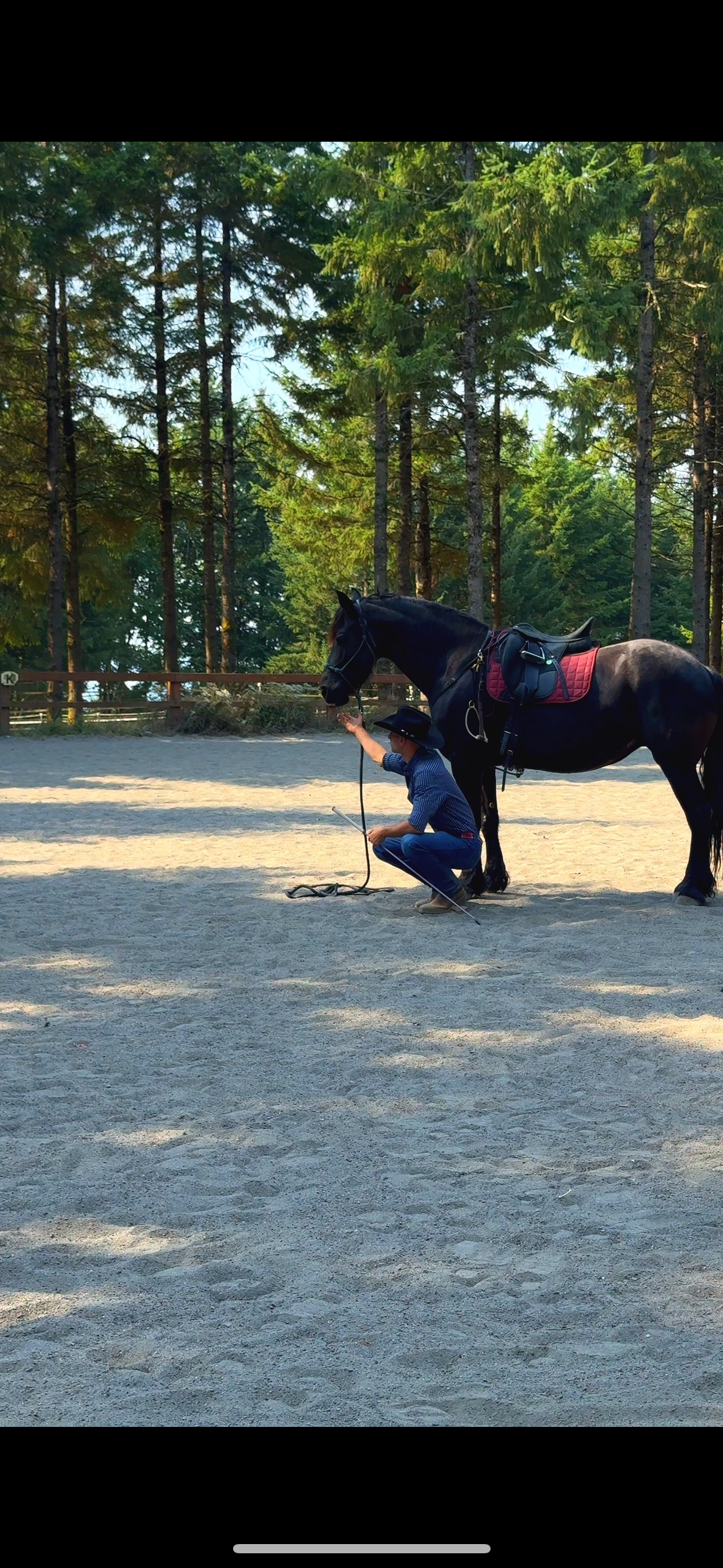Rebuilding Riding Confidence After Fear