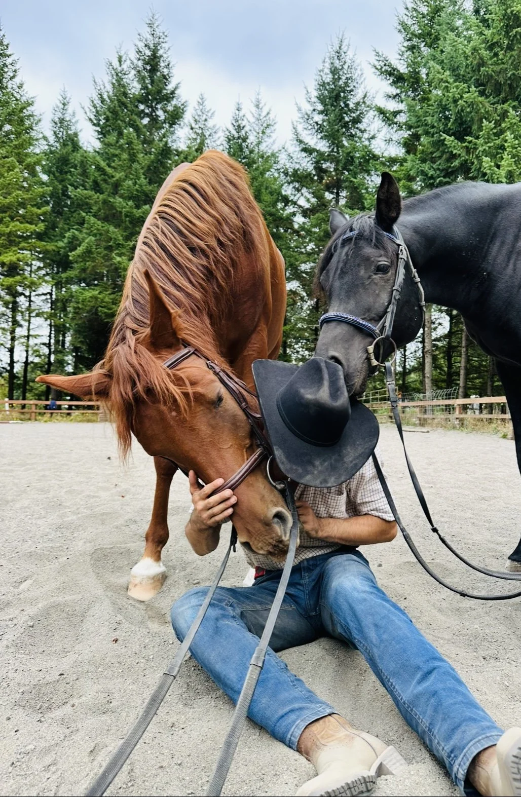 Building a Purpose-Driven Equine Business