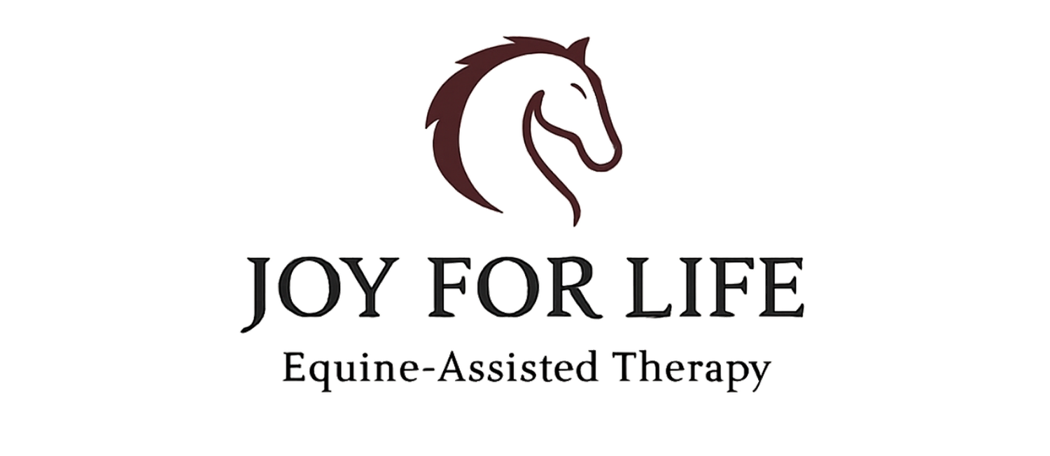 Joy for Life - Equine Assisted Therapy 