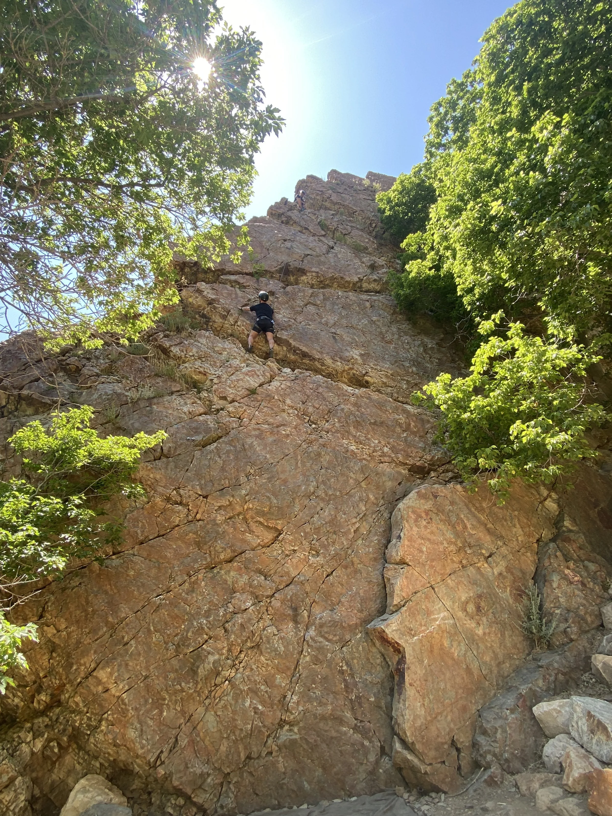 A person rock climbing on a steep cliff with trees on either side and the sun shining in the clear blue sky.