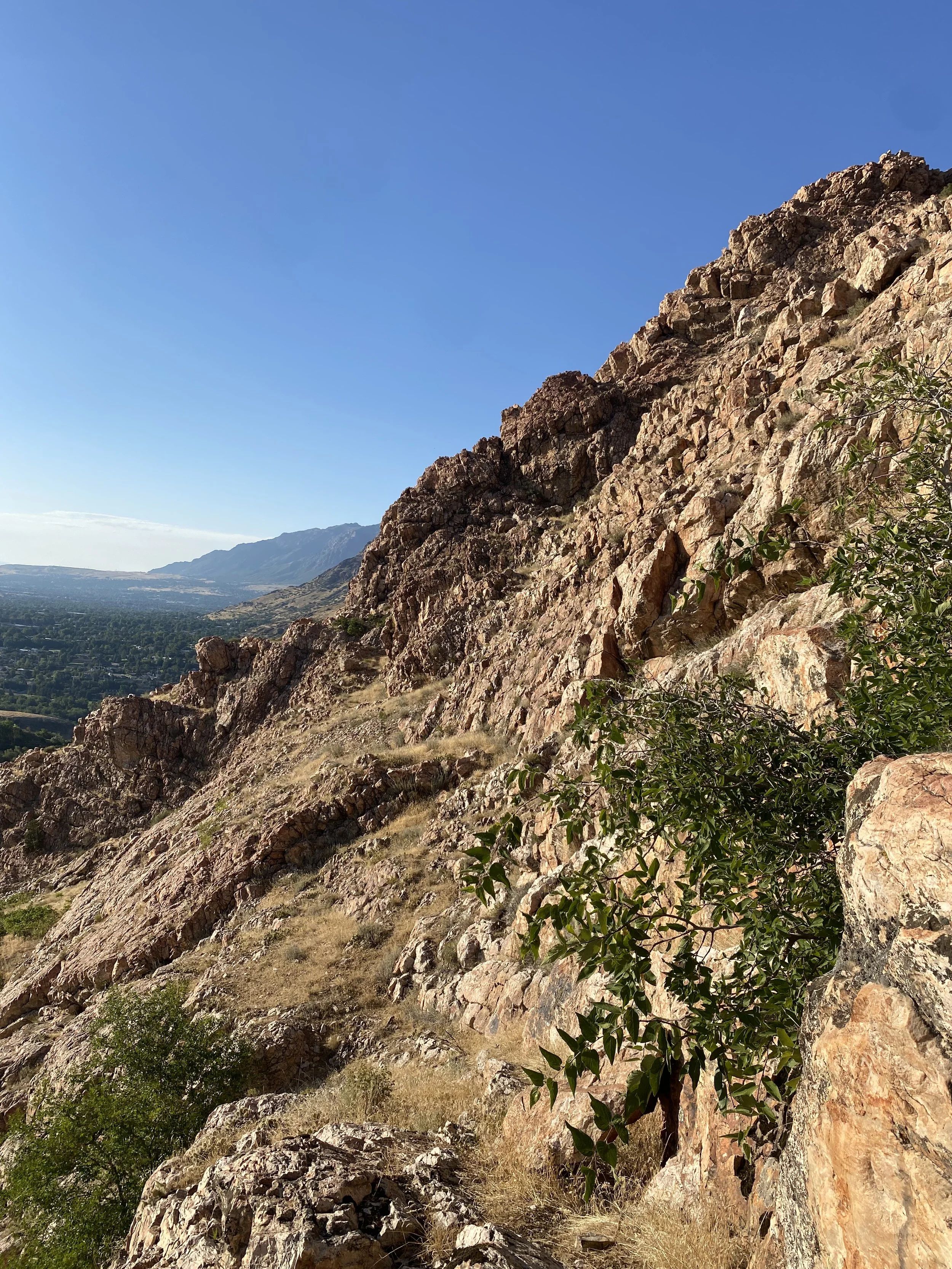 A rugged mountainside with brown and tan rocks, a dirt trail, sparse greenery, and a distant valley with a blue sky overhead.