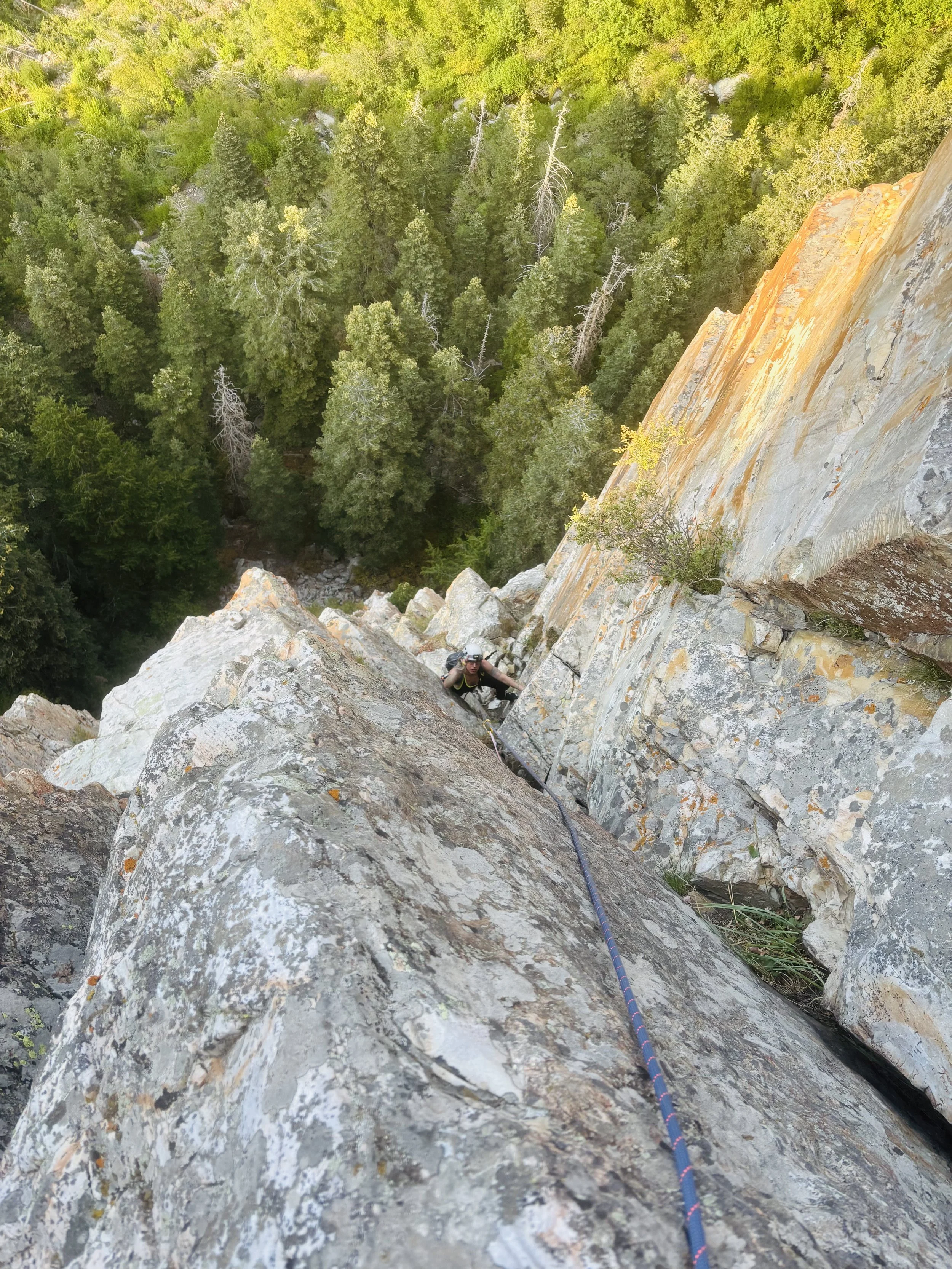 A rock climber ascending a steep rock face with a safety rope, viewed from above with a forest below.