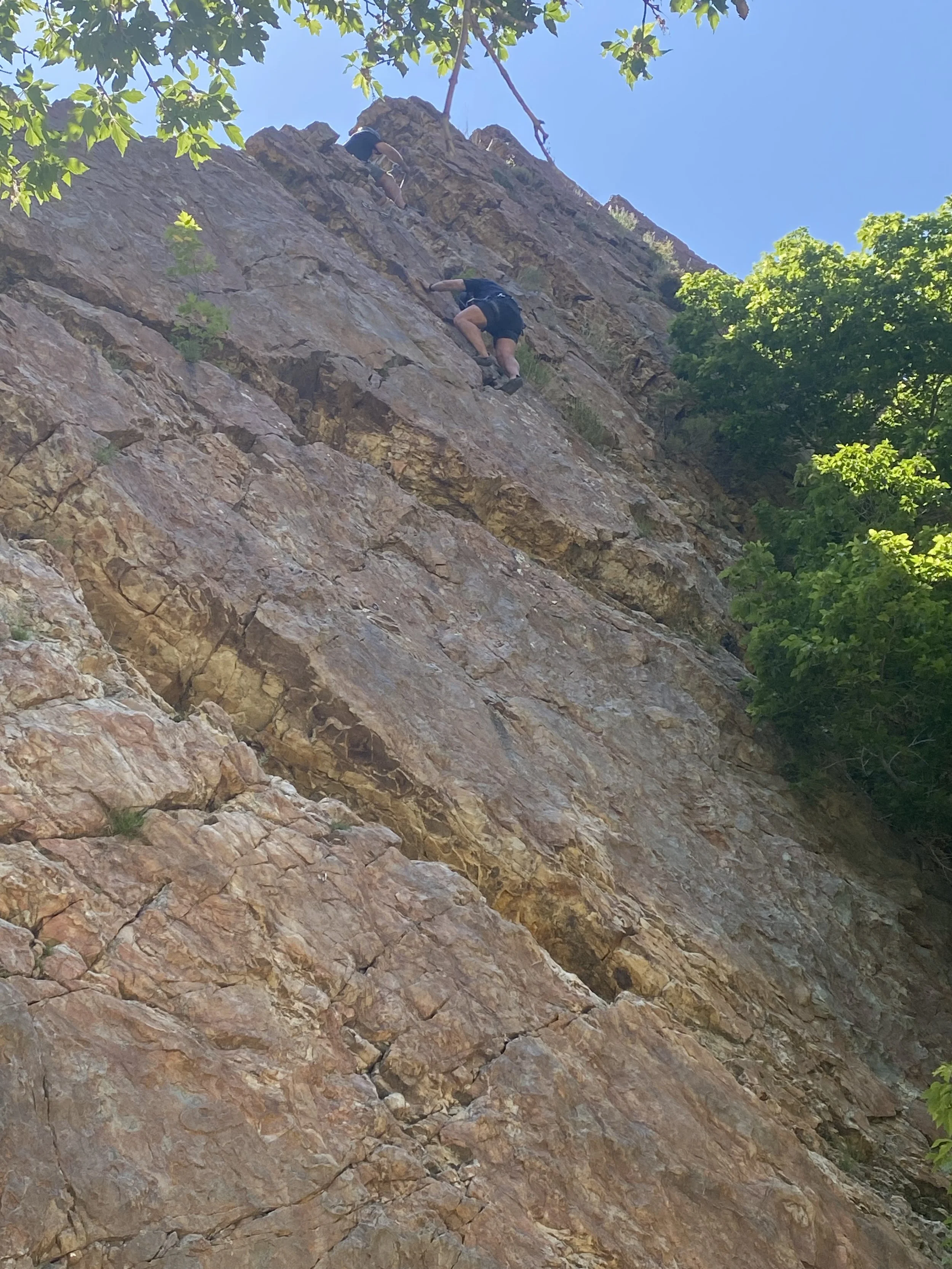 Two people rock climbing on a steep, rocky cliffside surrounded by green trees and a clear blue sky.