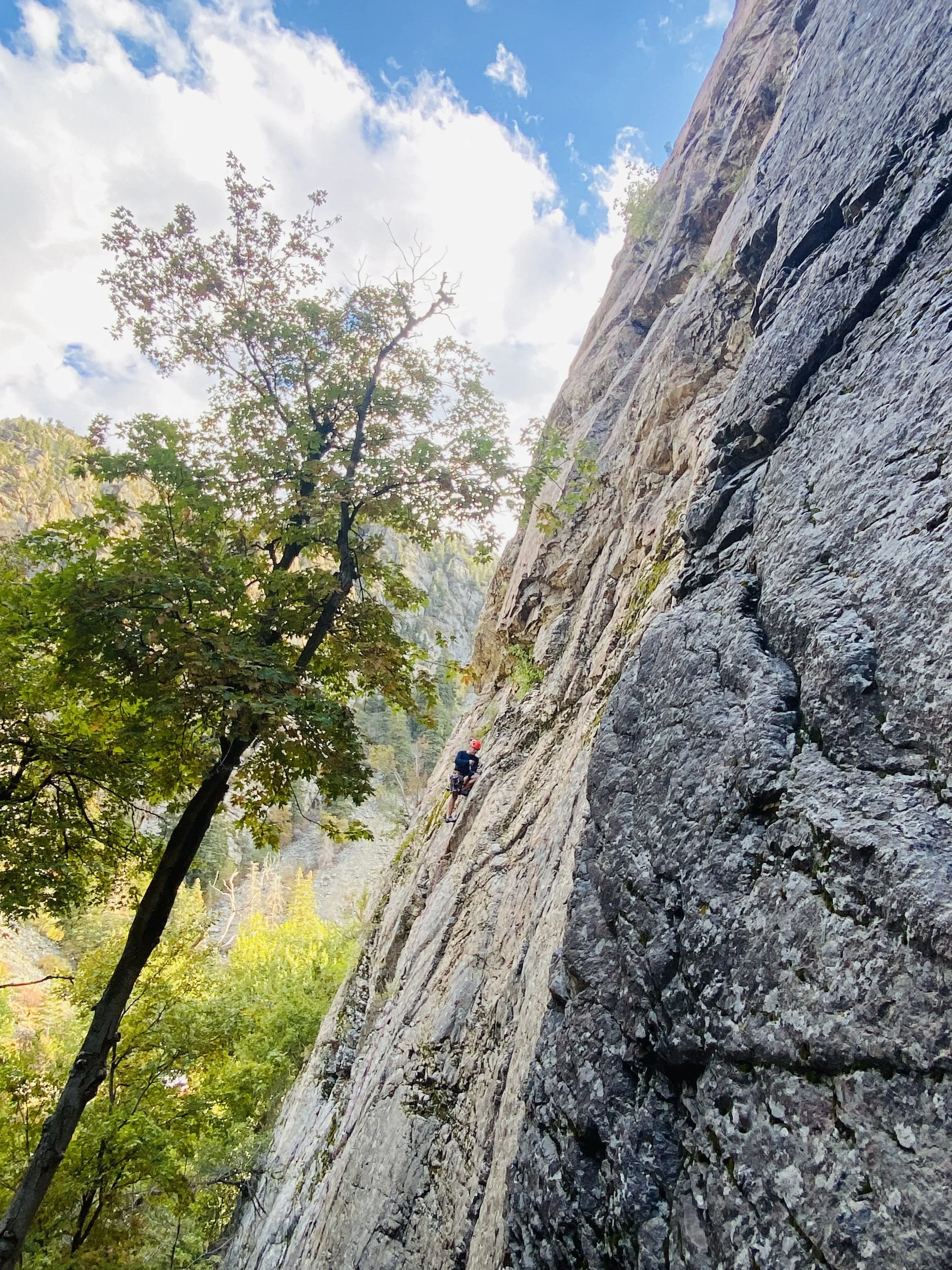 A person rock climbing on a steep vertical rock face outdoors, with trees and blue sky with clouds in the background.