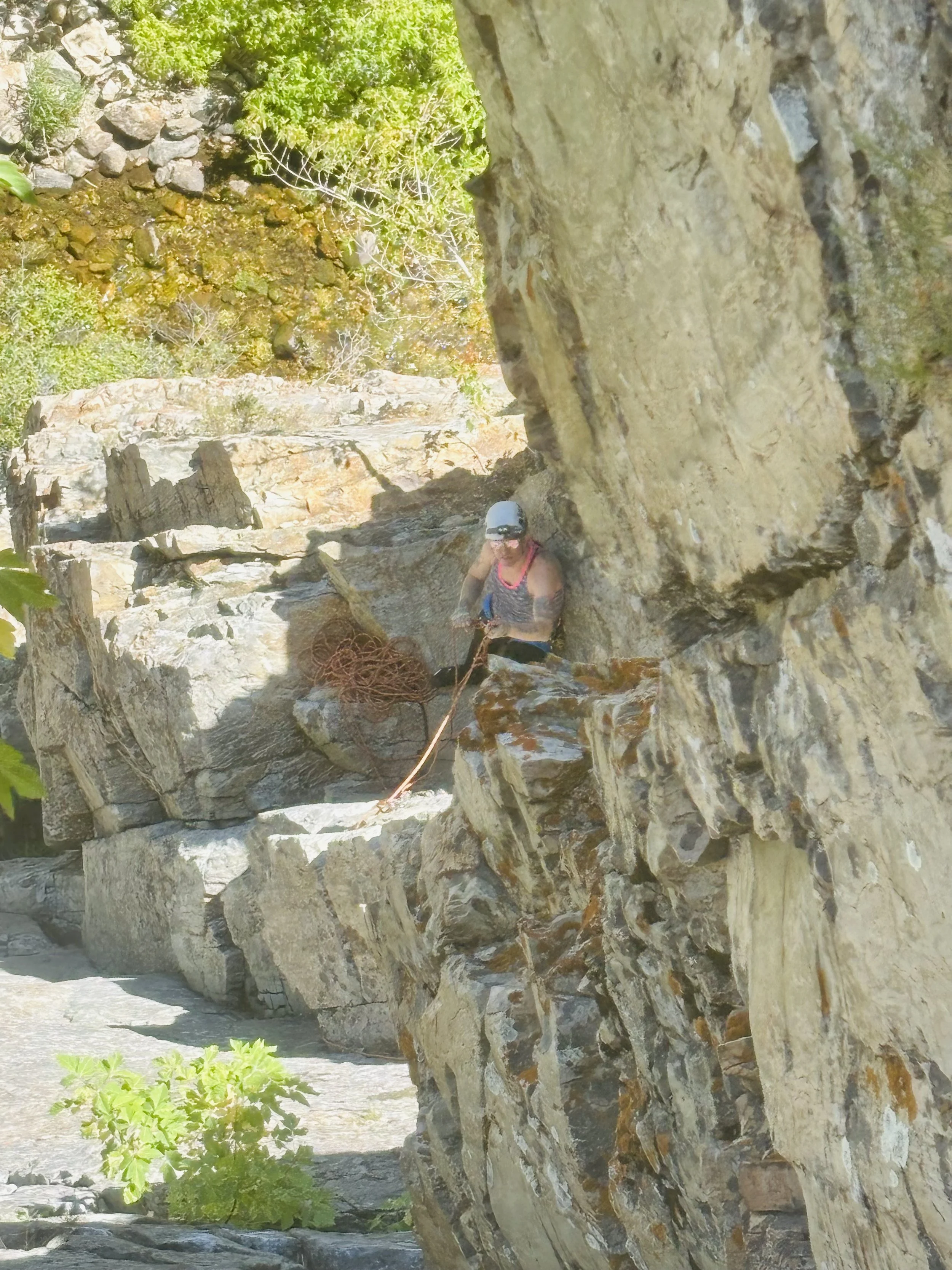 A person wearing a helmet and climbing gear is rock climbing on a rugged outdoor cliff face with green foliage in the background.