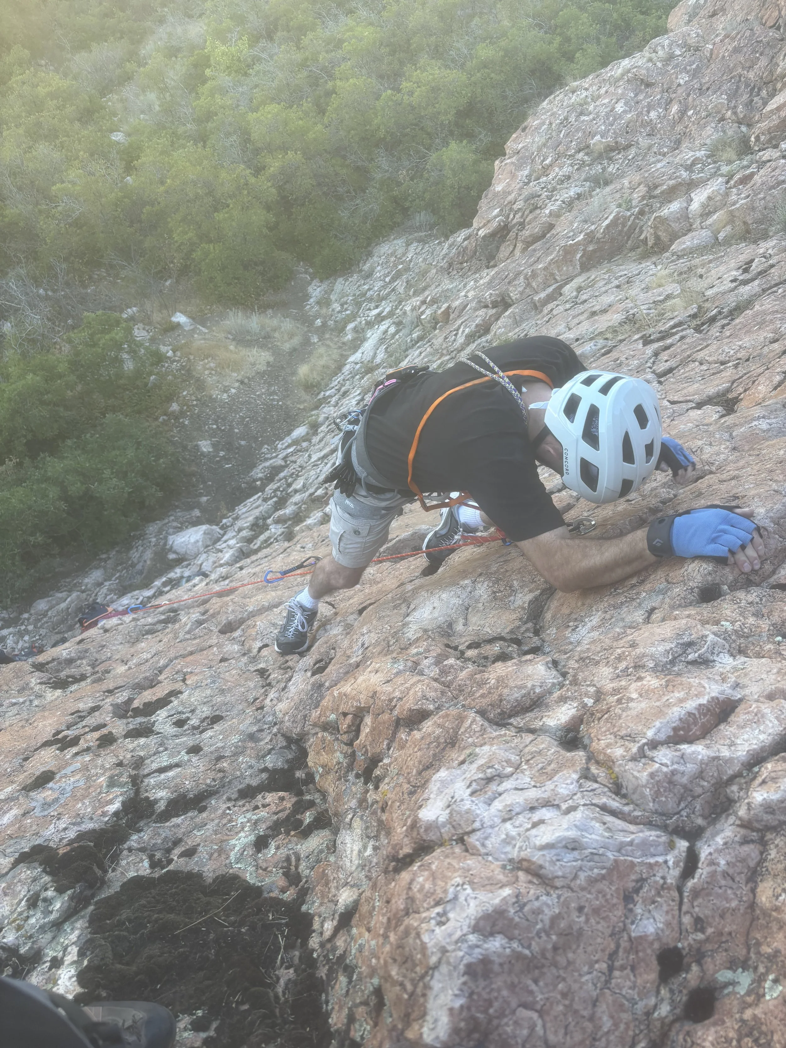 A person wearing a white helmet, blue gloves, black shirt, and gray shorts is rock climbing on a steep, rocky mountain face surrounded by greenery. They are secured with climbing gear and a rope.