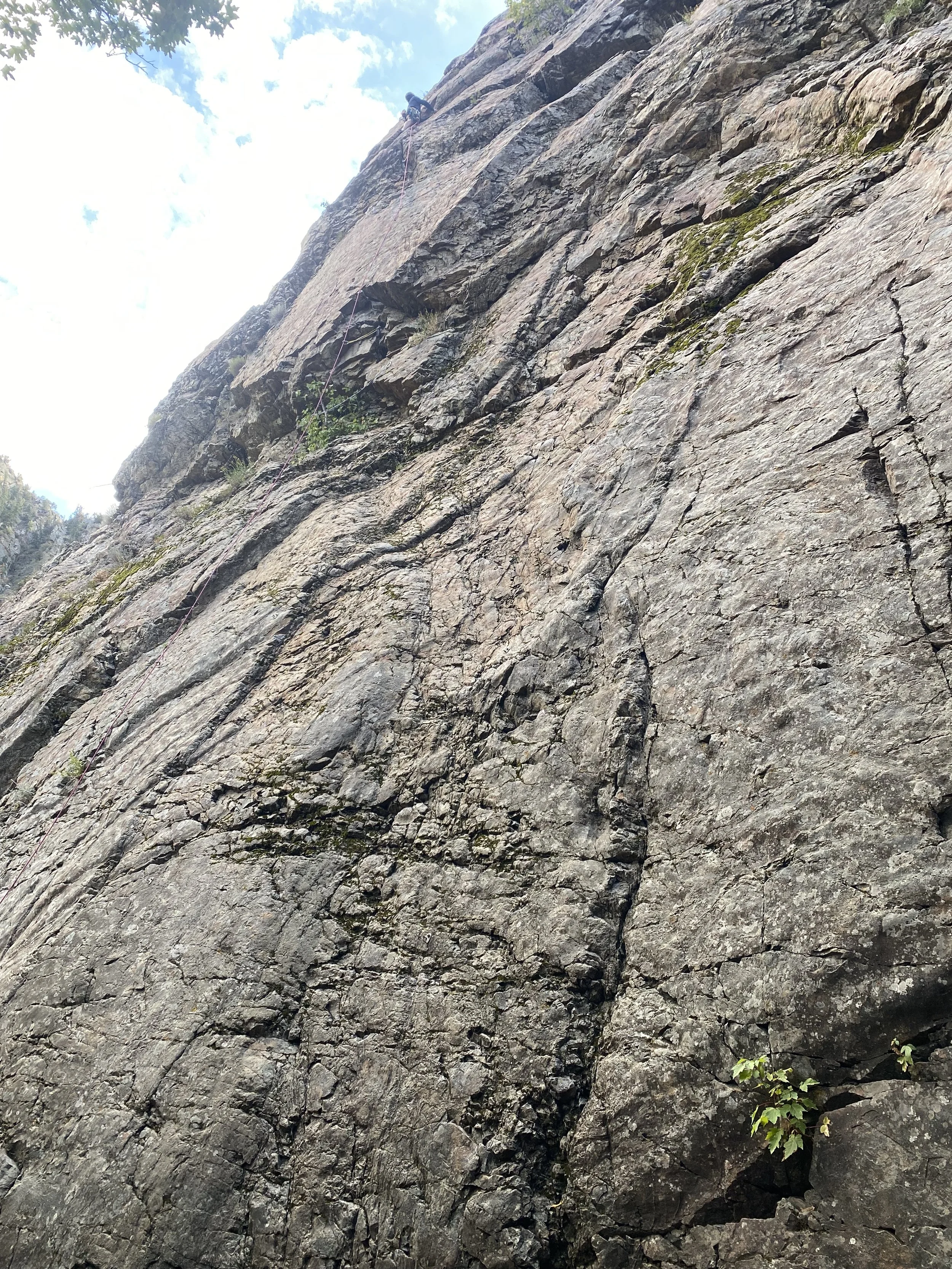 A person rock climbing on a steep, rugged rock face with a climbing harness and rope, high up on the cliff.