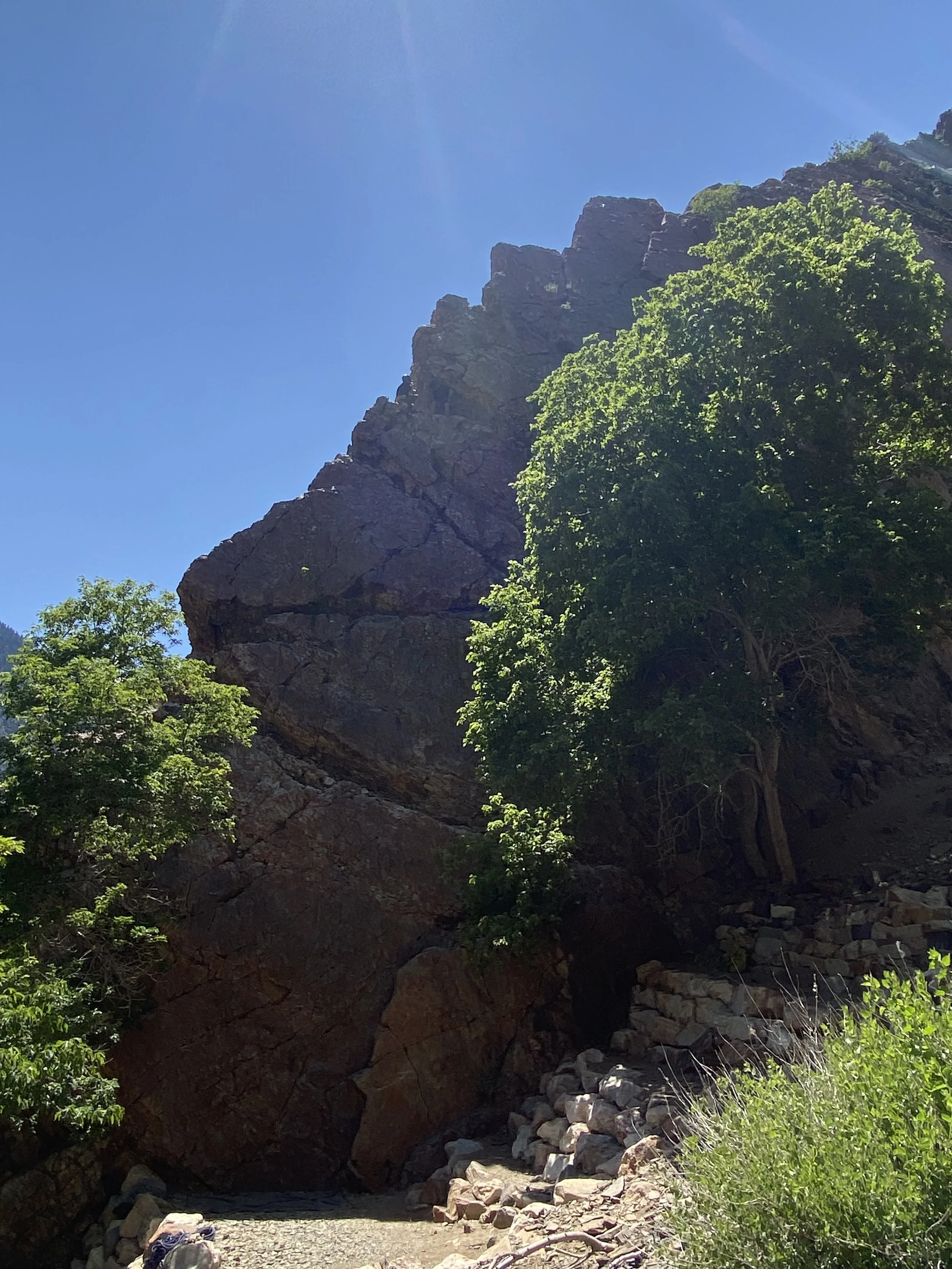 A rocky canyon with large cliff faces, green trees, and a clear blue sky.