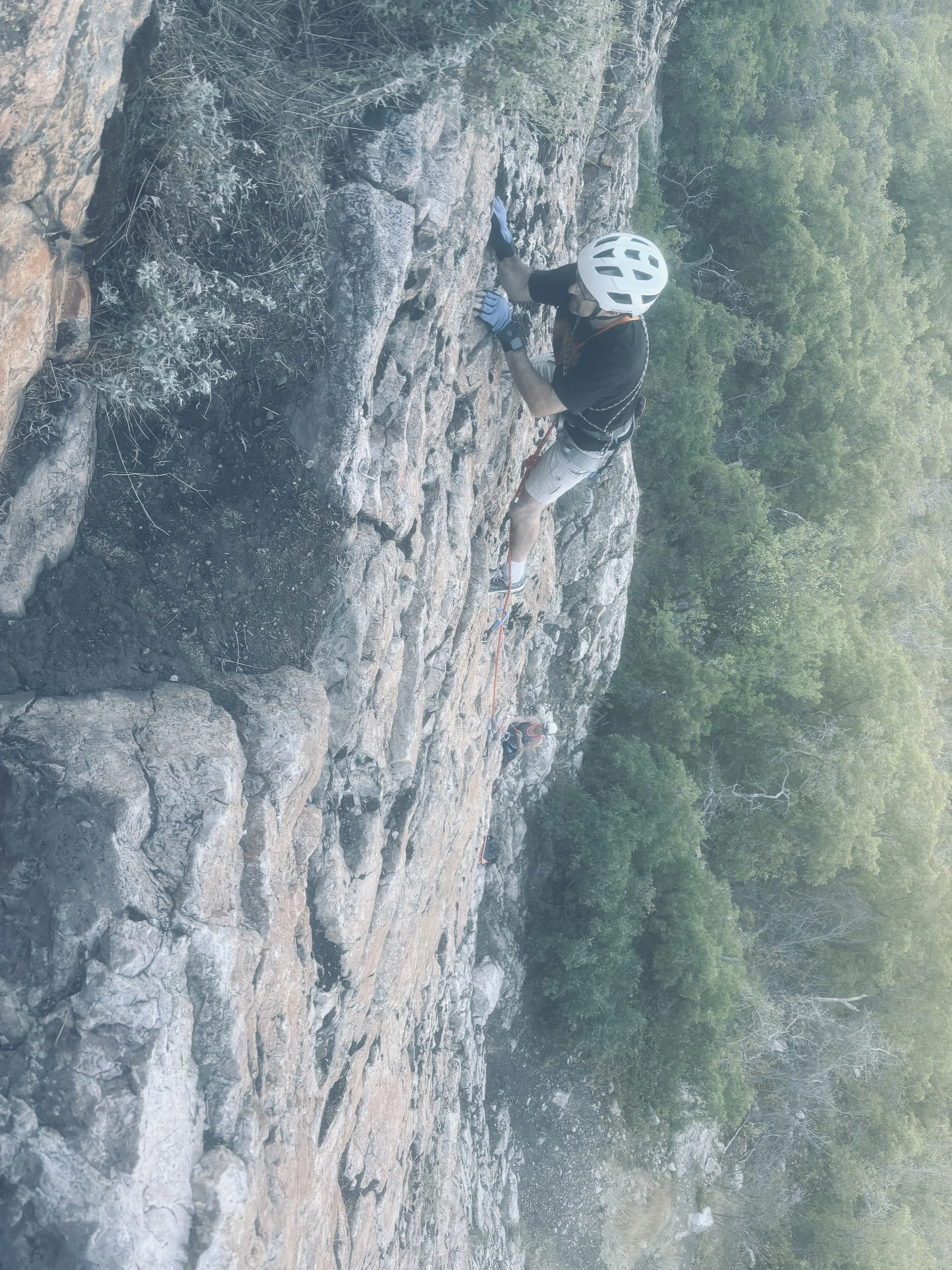 A person wearing a climbing helmet, gloves, and harness is rock climbing on a steep outdoor rock face with greenery and trees in the background.