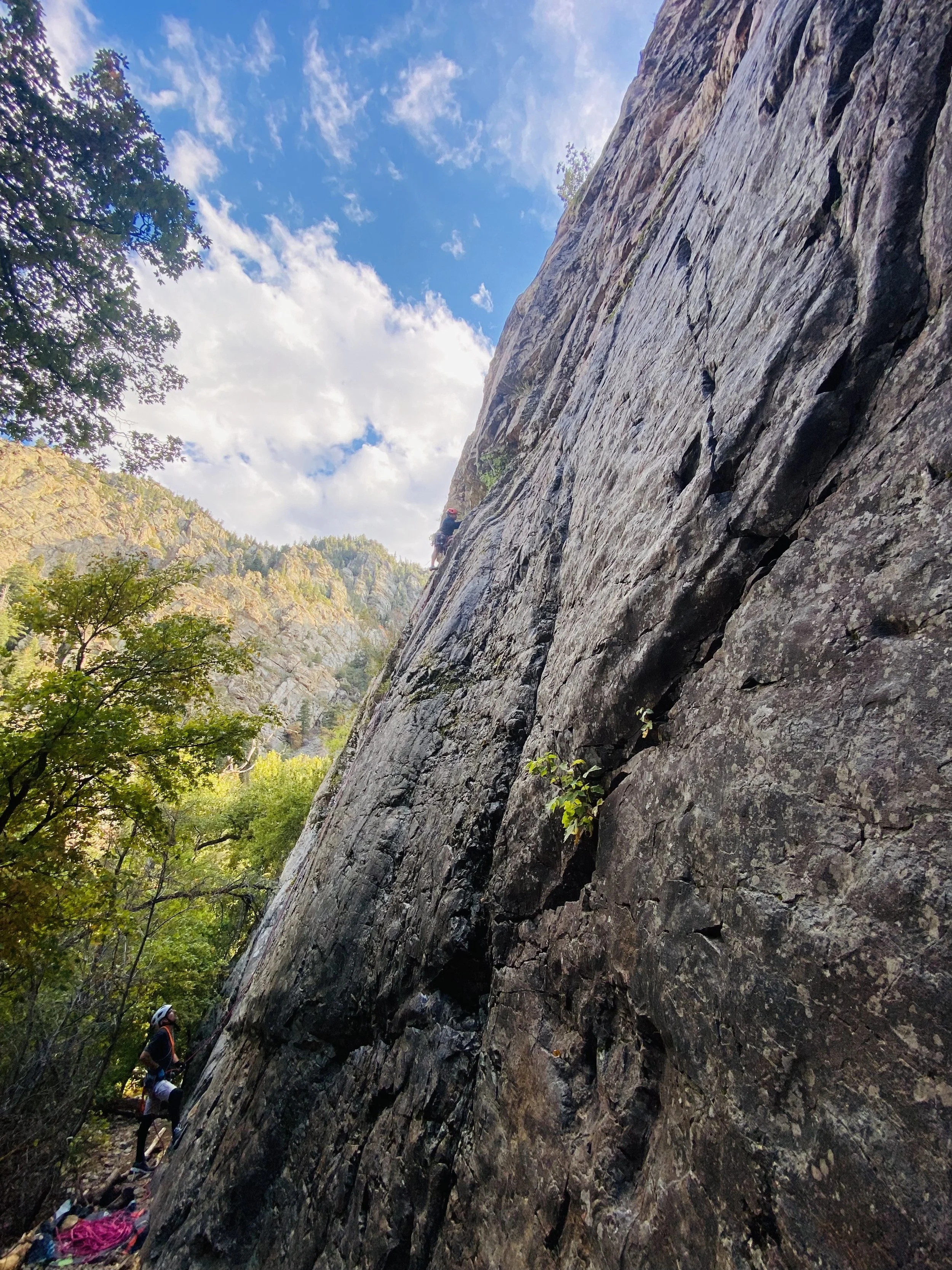 A person rock climbing on a steep rock face outdoors with trees and a blue sky with clouds in the background.