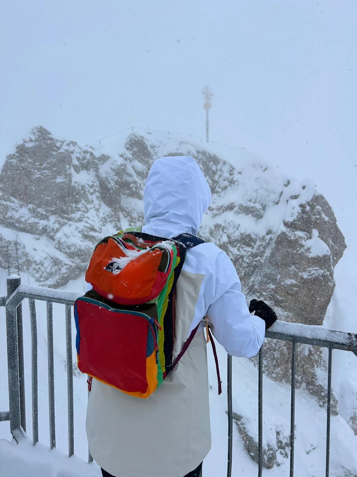 WhatsApp Image 2026-02-02 at 08.44.56.jpeg