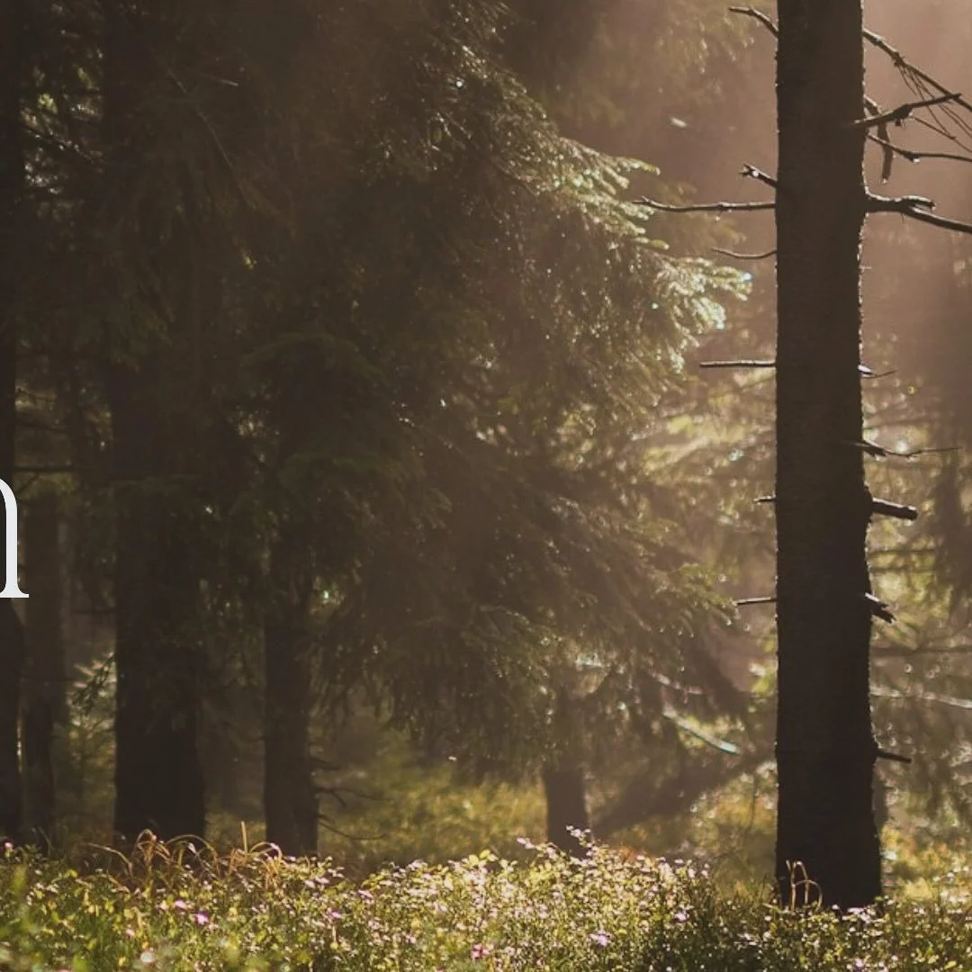 #abbotsfordcounselling #fraservalleycounselling #mentalhealthmatters #abbotsfordtherapy #abbotsfordsmallbusiness #counsellingclinic #abbotsfordsmallbusinesses