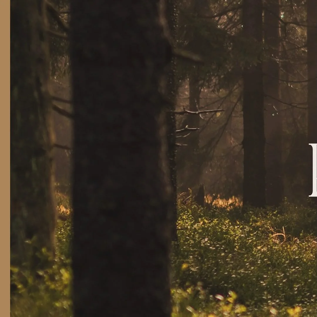 #abbotsfordcounselling #fraservalleycounselling #mentalhealthmatters #abbotsfordtherapy #abbotsfordsmallbusiness #counsellingclinic #abbotsfordsmallbusinesses