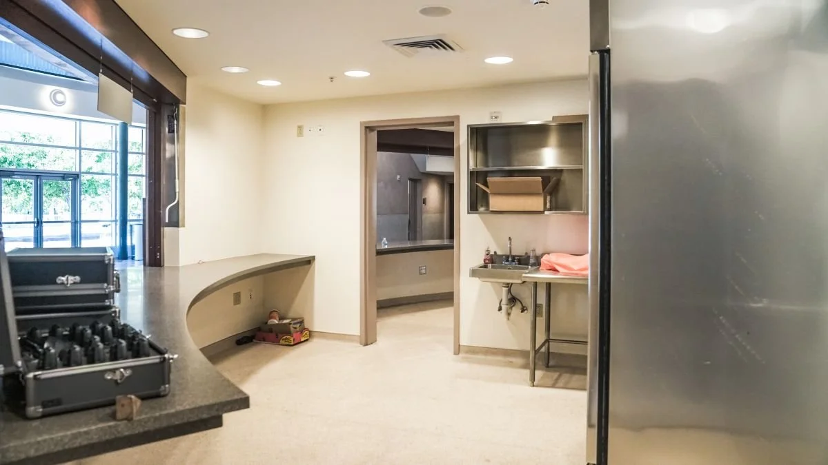 Empty break room with countertop, sink, and open shelving, next to a doorway leading to another room, with a window showing outdoor greenery.
