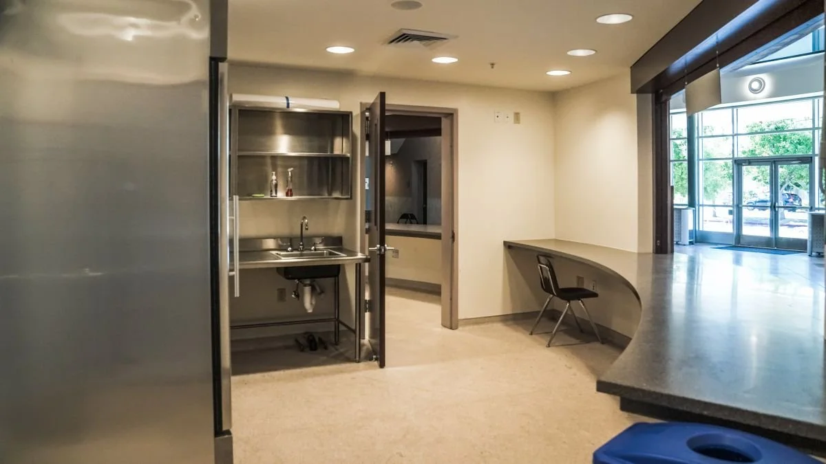 Empty interior space with a curved counter, a small table with a chair, a stainless steel sink area, and large glass doors to the outside with trees visible.