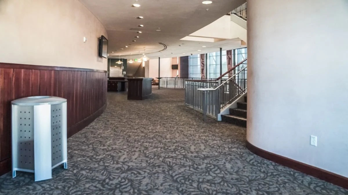 Empty corridor in a modern building with carpeting, a trash can, and a staircase with a handrail.