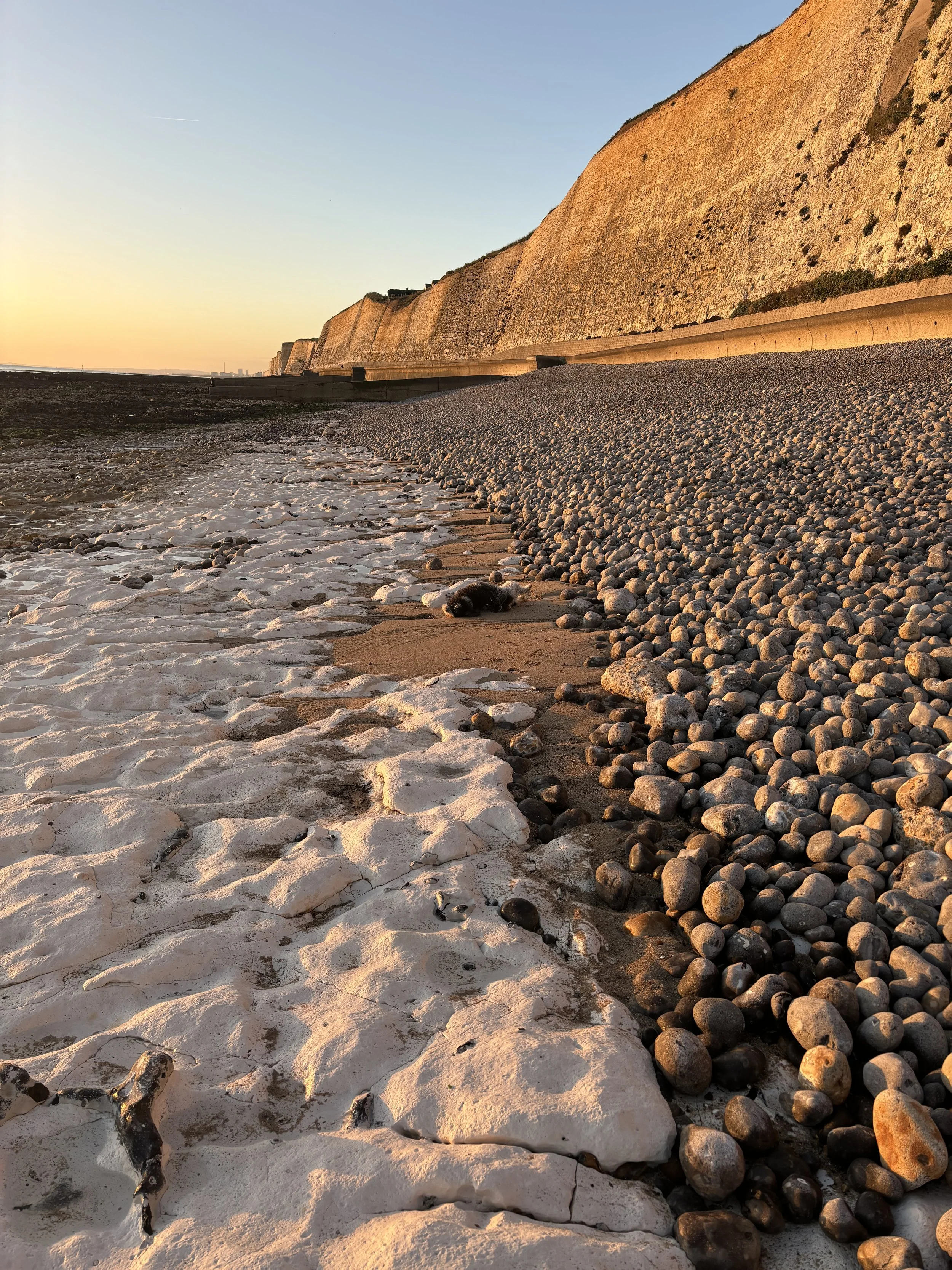Brighton beach at sunset with a rocky shoreline, white rocks on the left, pebbles on the right, and tall chalk cliffs in the background under a clear sky.
