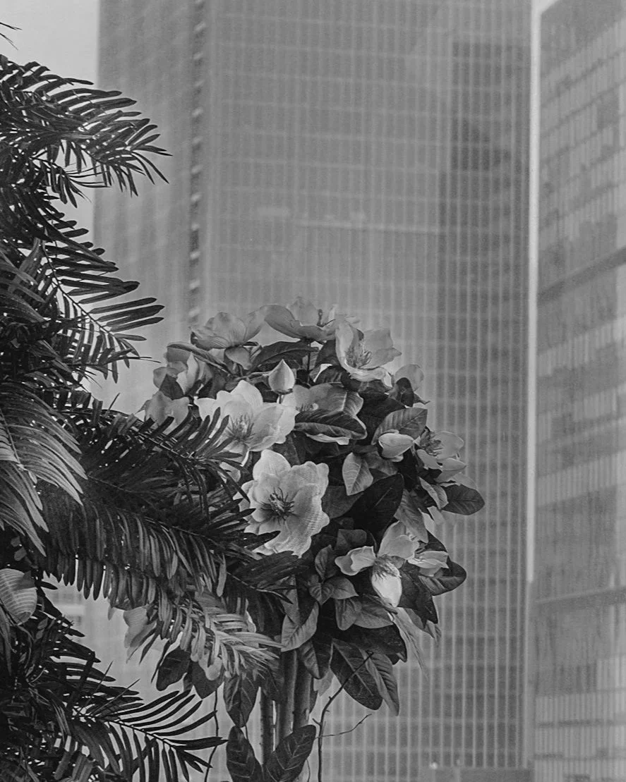 A Professional Failure That Made Me More Resilient&nbsp;