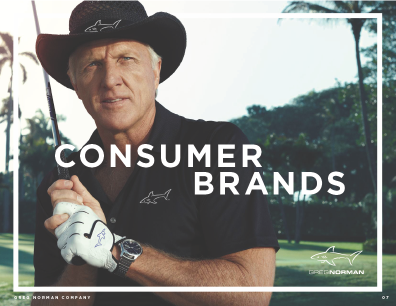 GN Consumer Brands.png