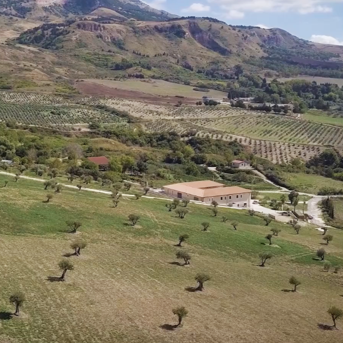 LA FURTUNA ESTATE