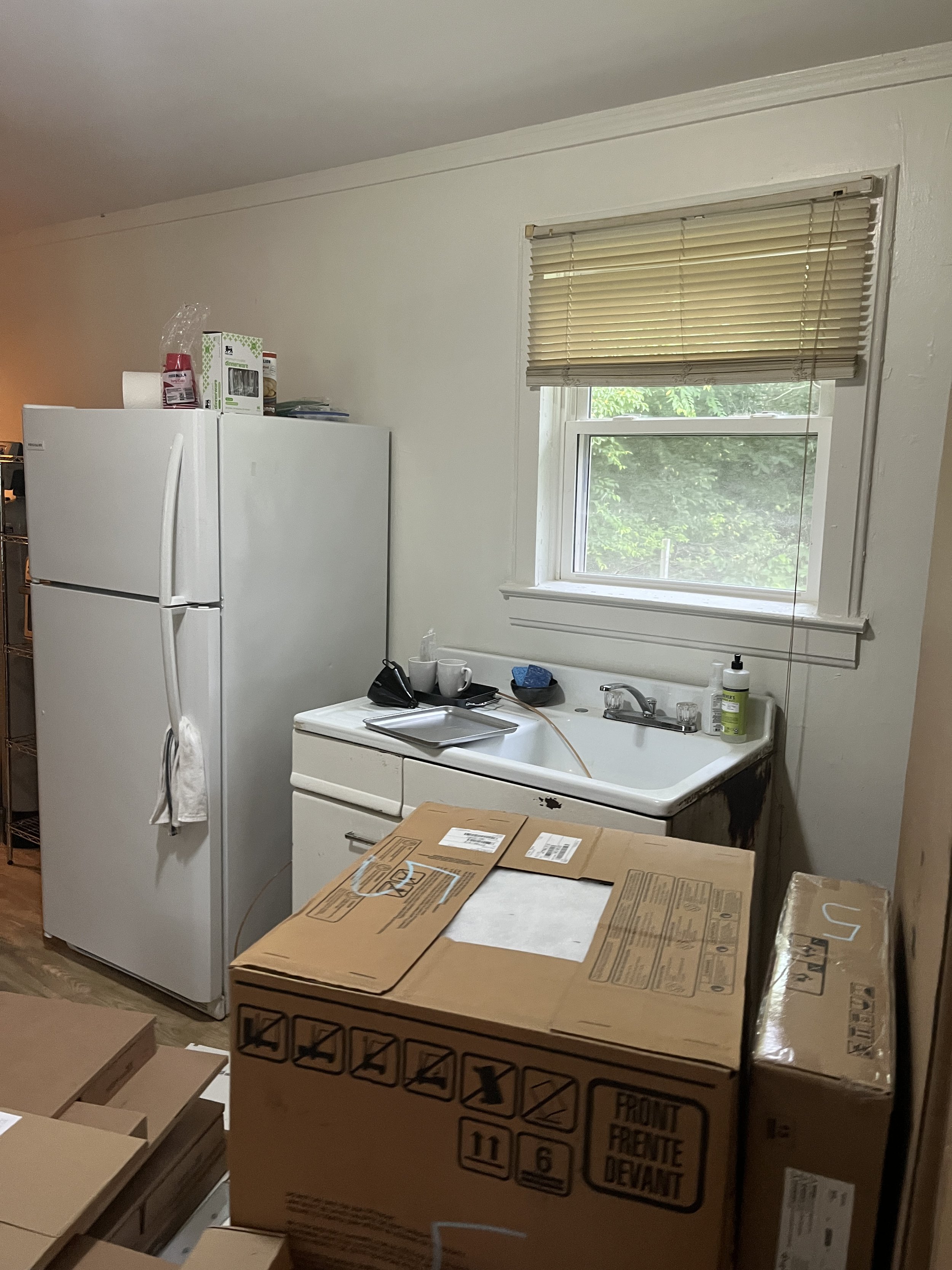 Bush Springs (before)