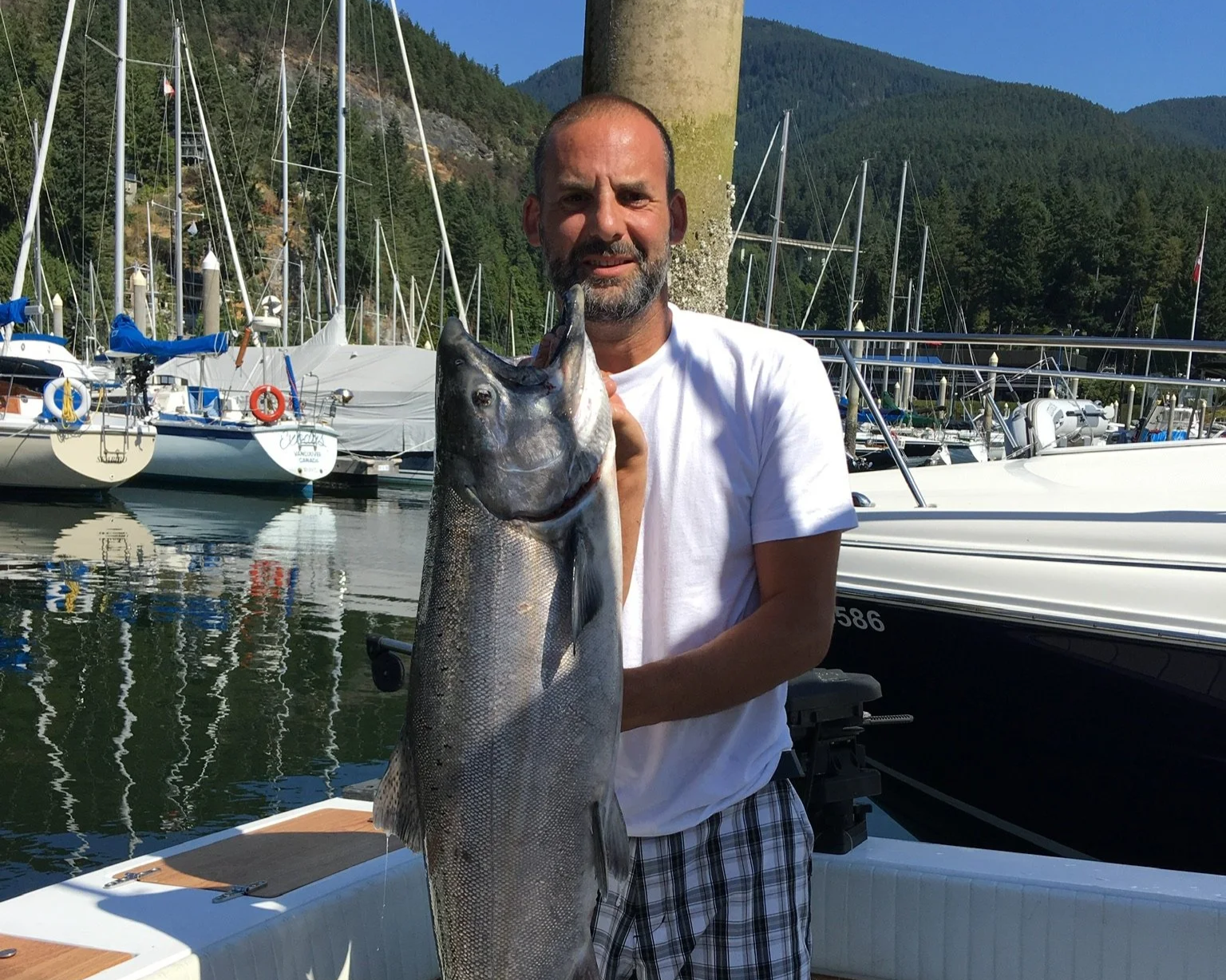 A man holding a large fish on a dock at a marina with sailboats and mountains in the background.