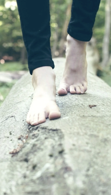 The Living Body Series
