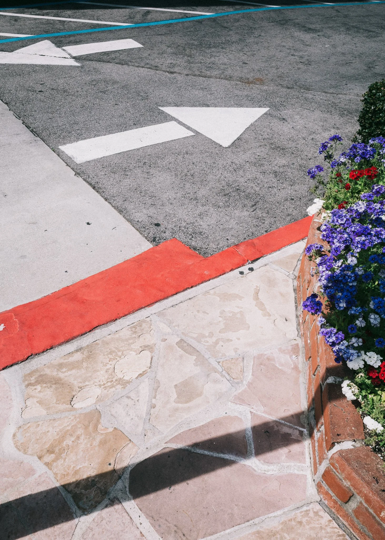 KevinGask_Flower_05.jpg