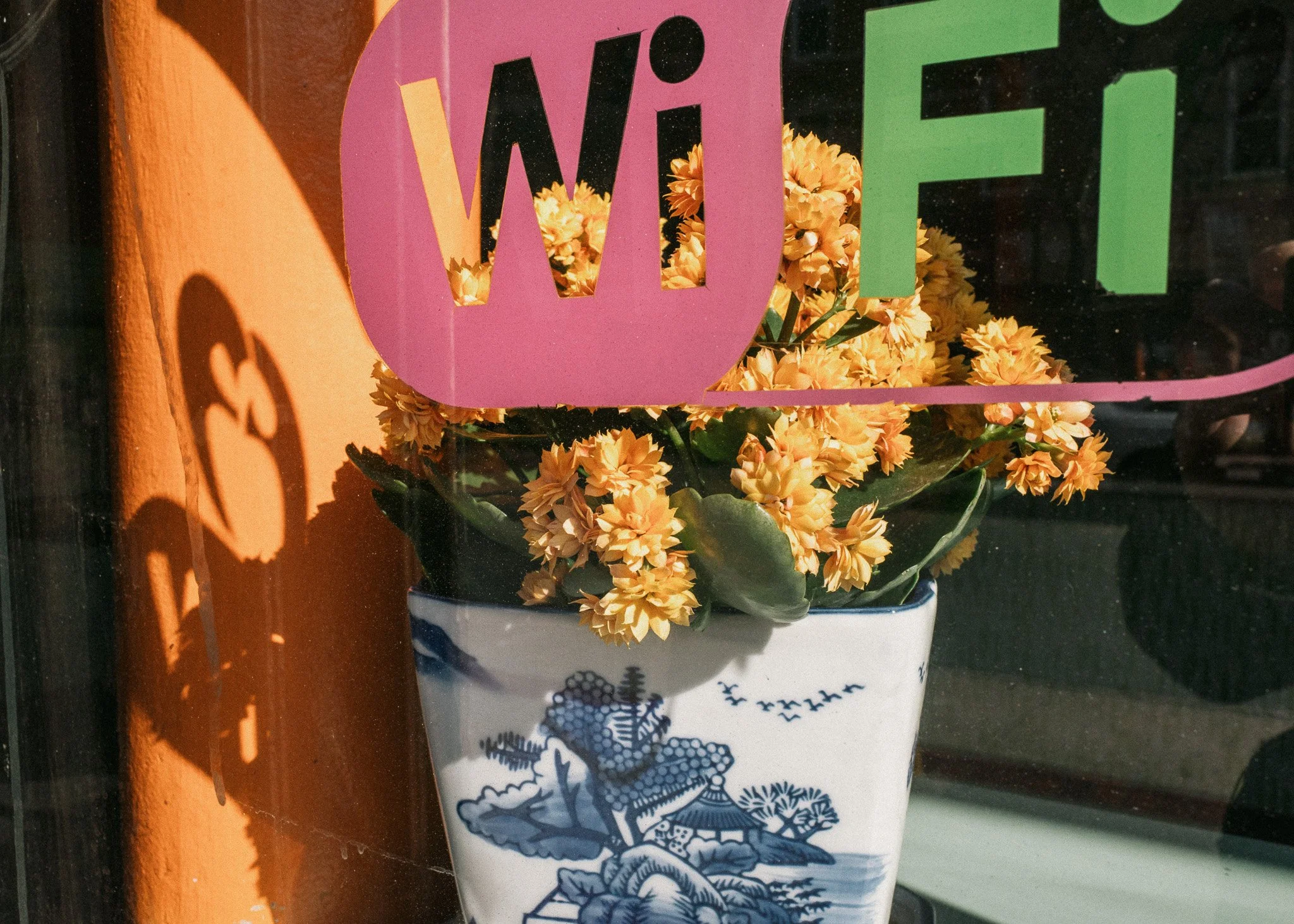 KevinGask_Flower_17.jpg