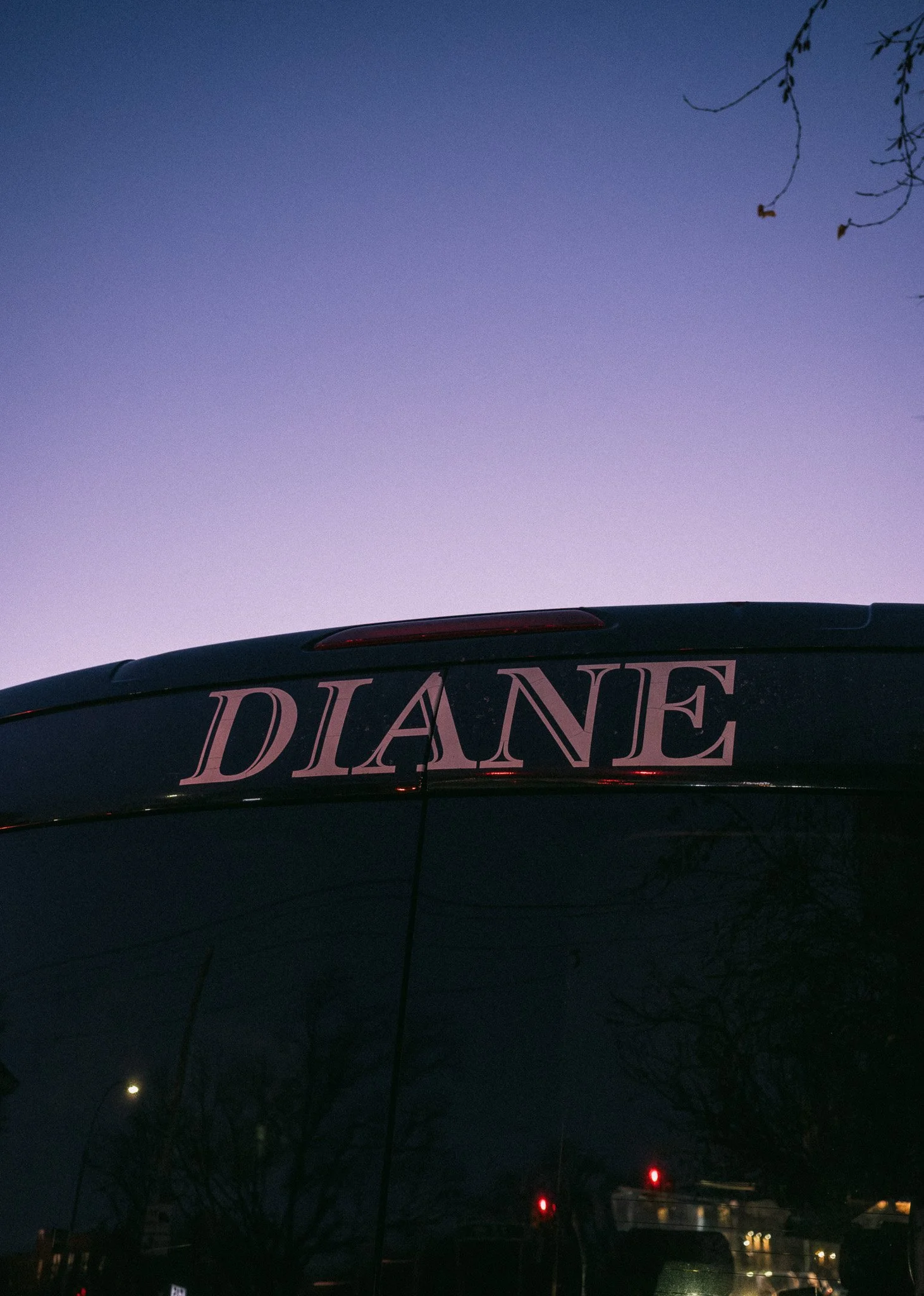 Diane
