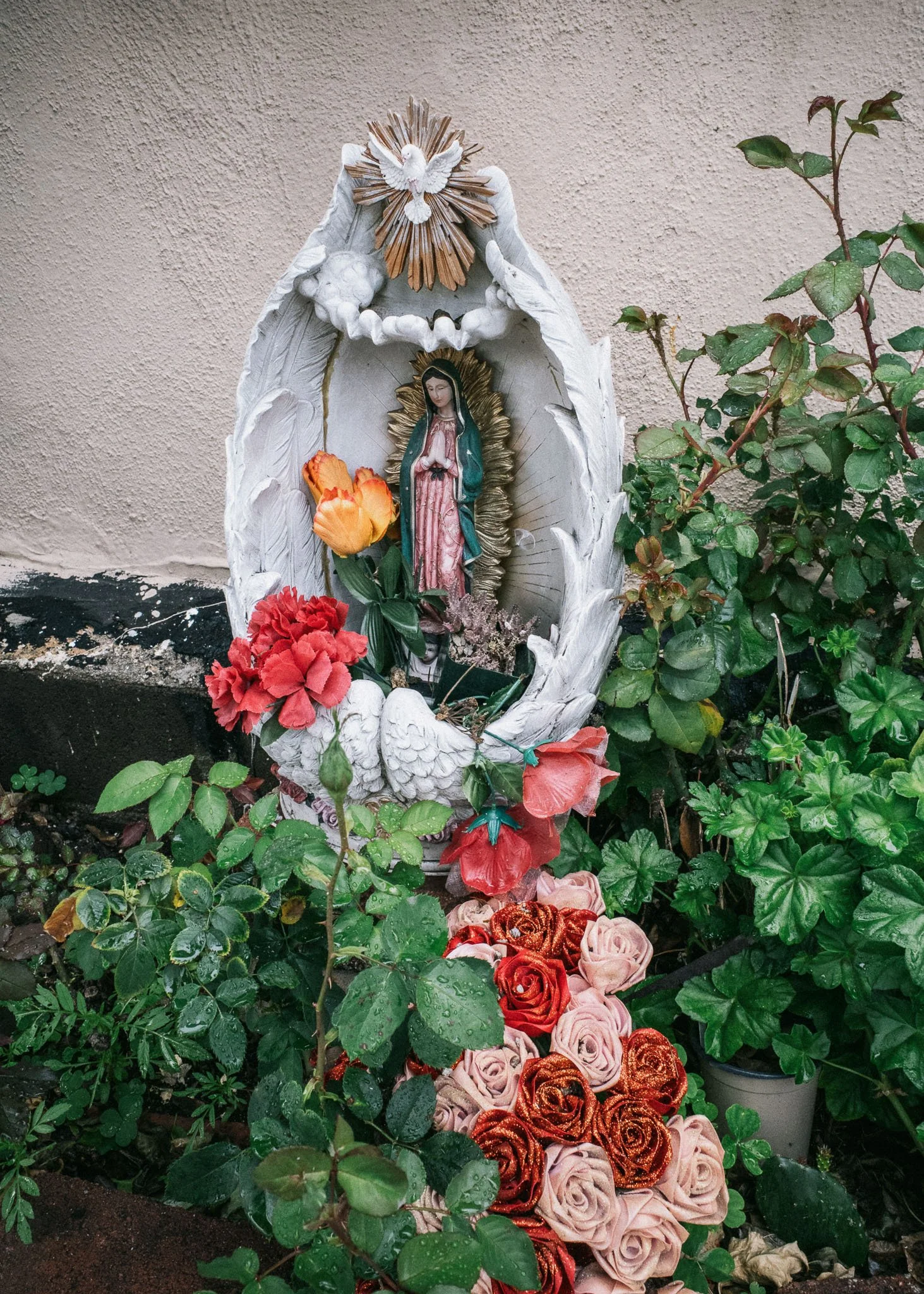 KevinGask_Flower_13.jpg