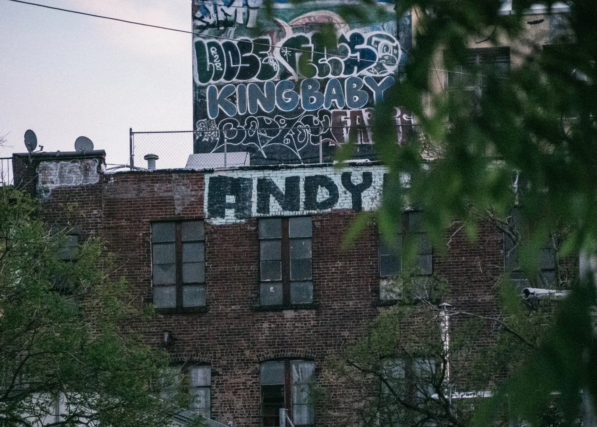 Andy