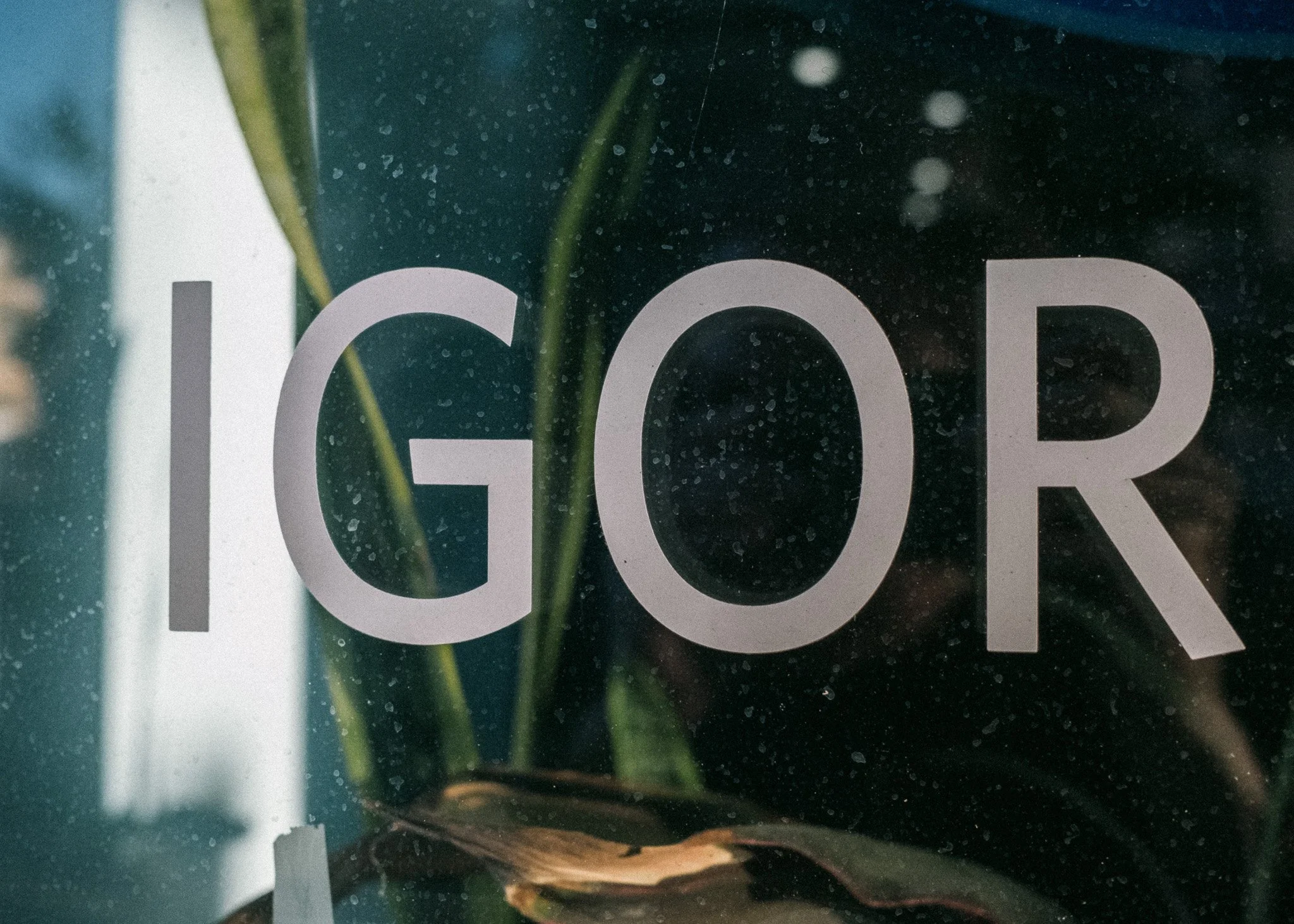 Igor