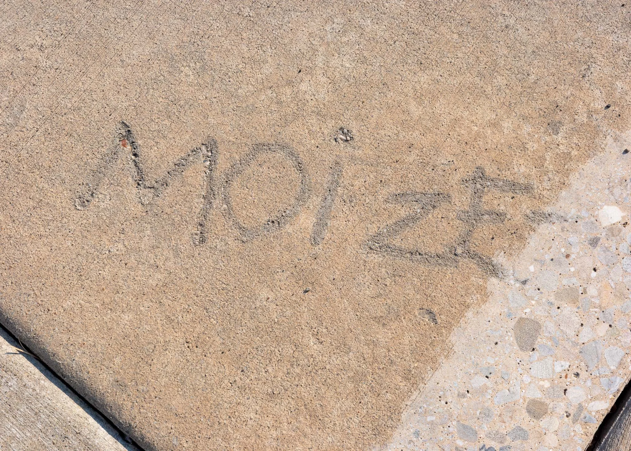 Moize